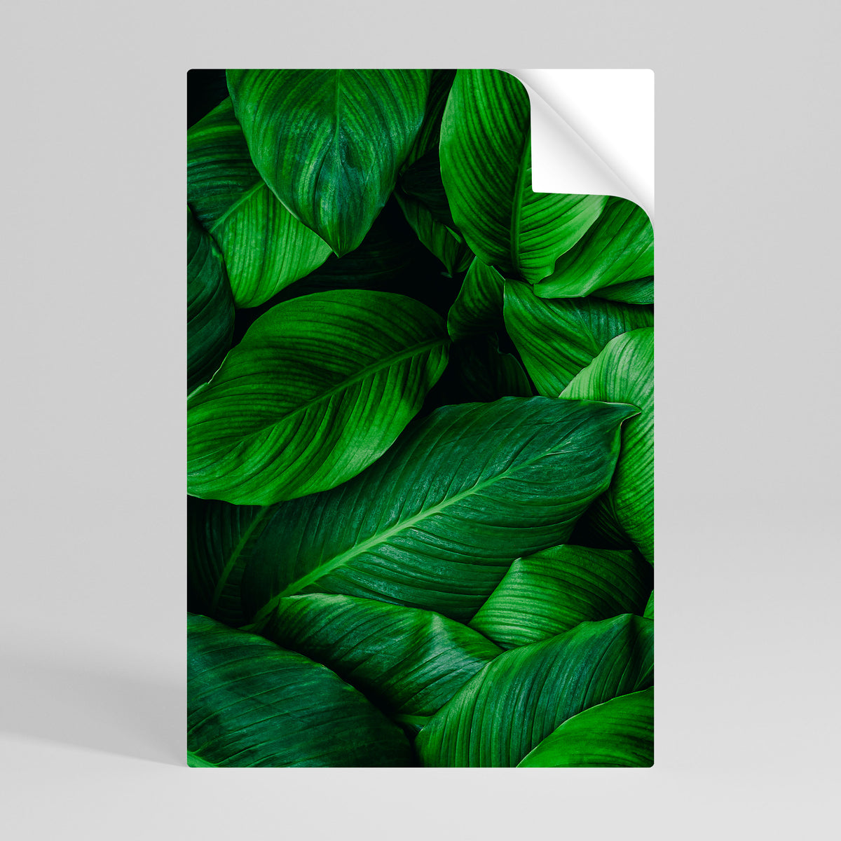 VIBRANT LEAFY EMBRACE Peel and Stick Vertical Poster