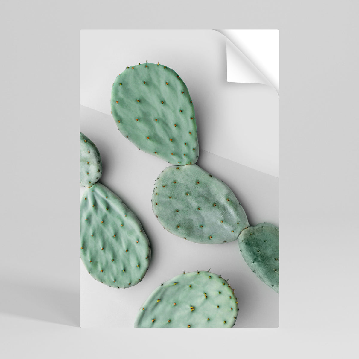 CACTUS DREAMSCAPE Peel and Stick Vertical Poster