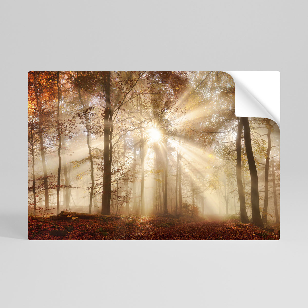 WHISPERS OF AUTUMN Peel and Stick Horizontal Poster