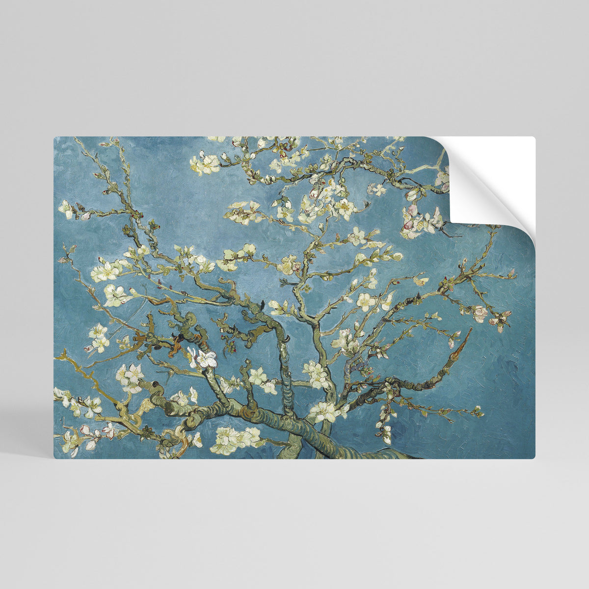 ALMOND BLOSSOM Peel and Stick Horizontal Poster