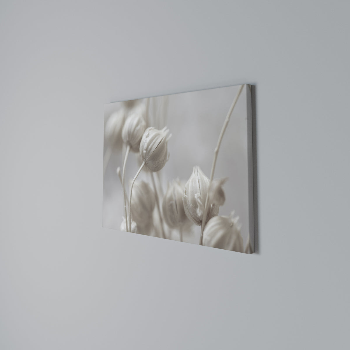 MYSTICAL BOTANICAL BLUSH Horizontal Canvas Print