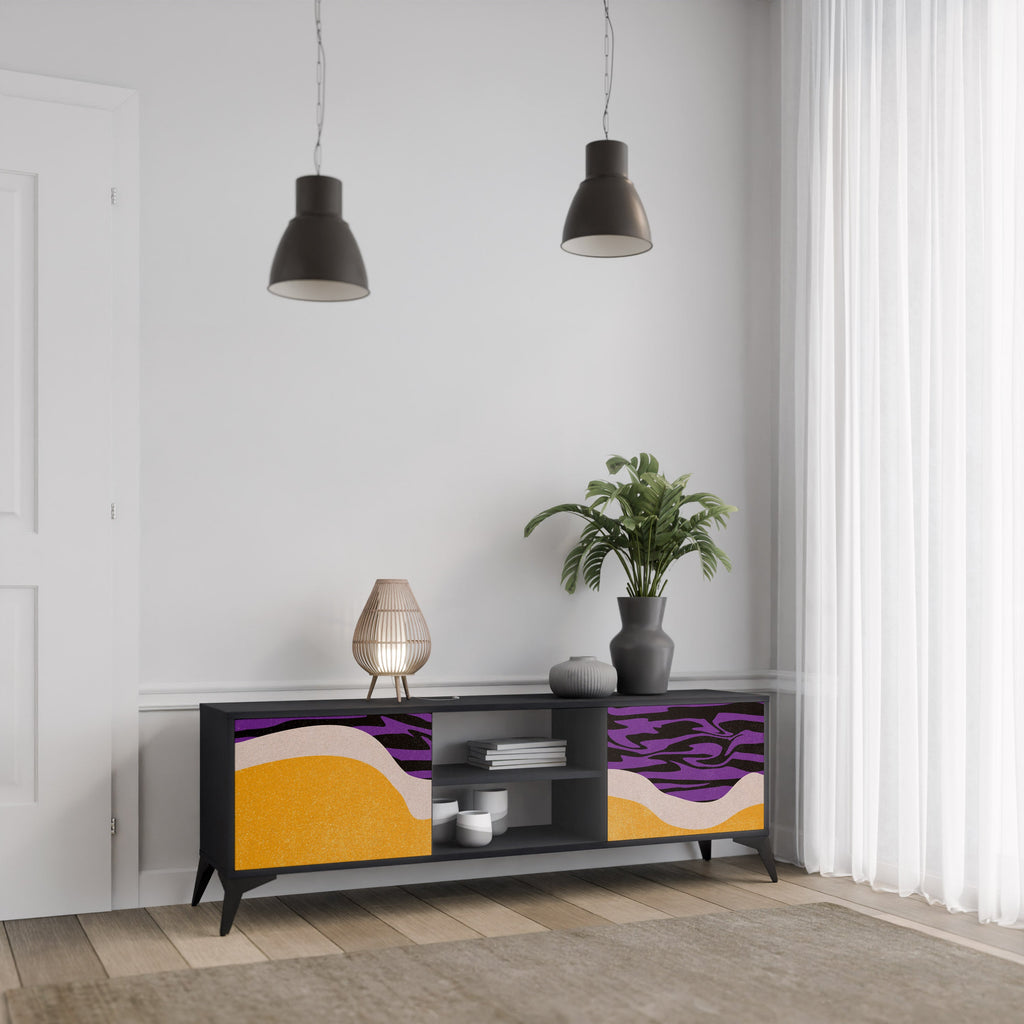 INDEPENDENT BORDER 2-Door TV Stand in Black Finish