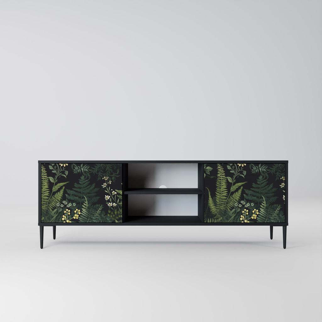 FERN FLOWERS 2-Door TV Stand in Black Finish