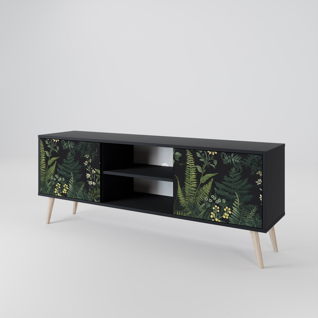 FERN FLOWERS 2-Door TV Stand in Black Finish