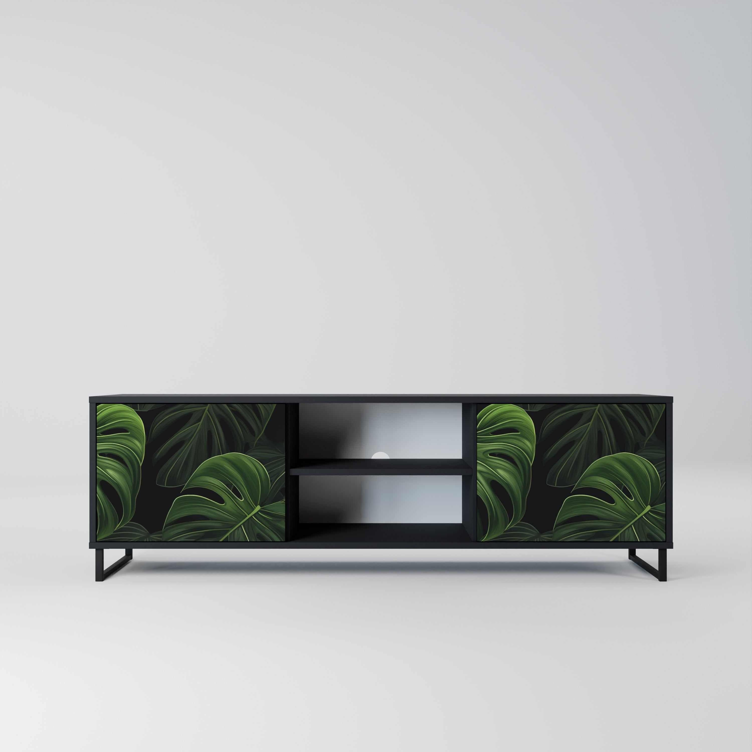 INFINITE MONSTERA 2-Door TV Stand in Black Finish