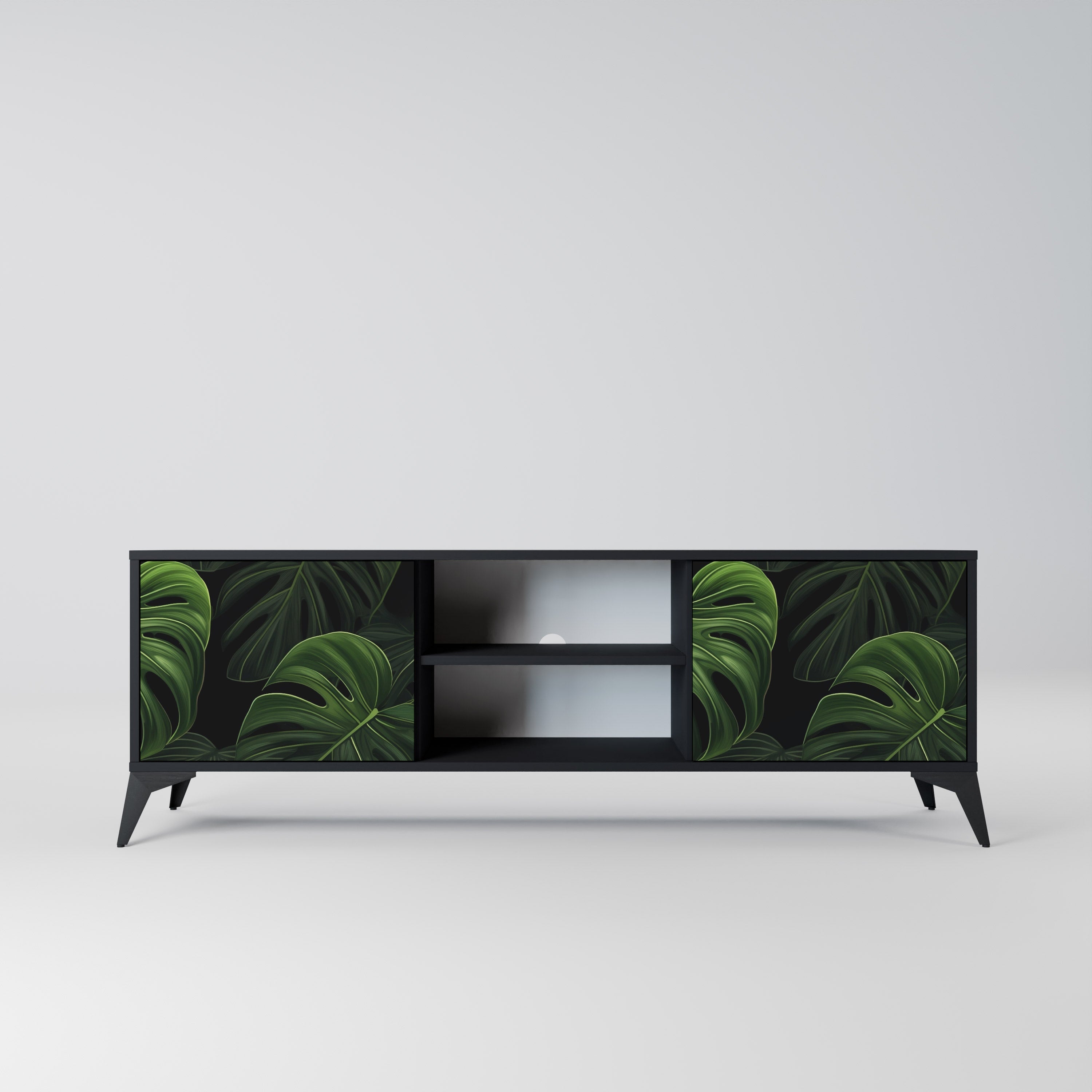 INFINITE MONSTERA 2-Door TV Stand in Black Finish