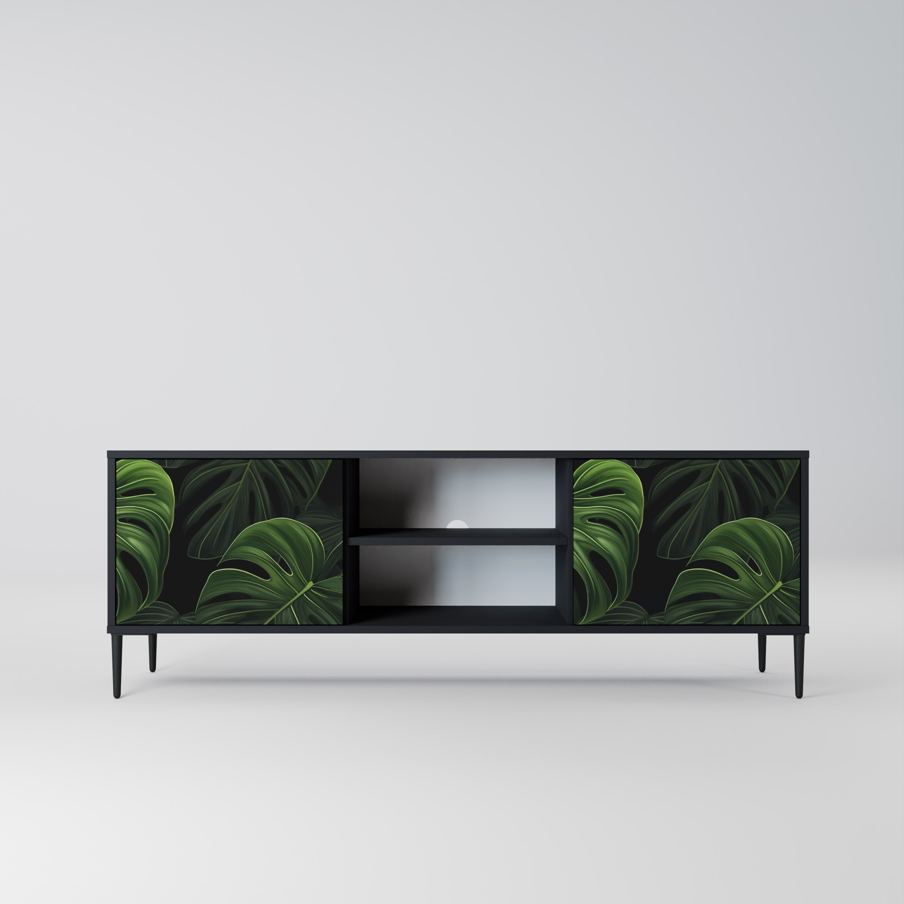 INFINITE MONSTERA 2-Door TV Stand in Black Finish