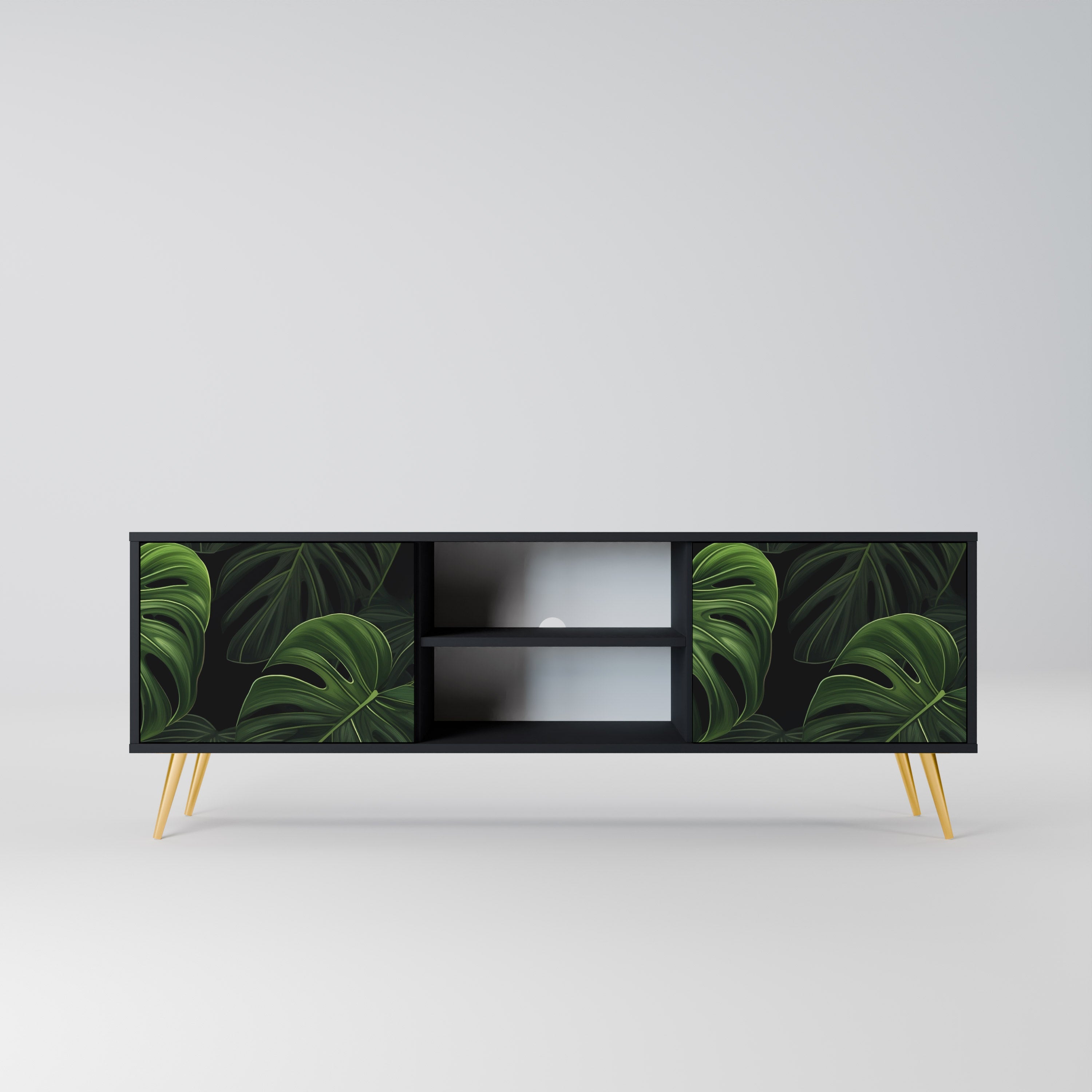INFINITE MONSTERA 2-Door TV Stand in Black Finish