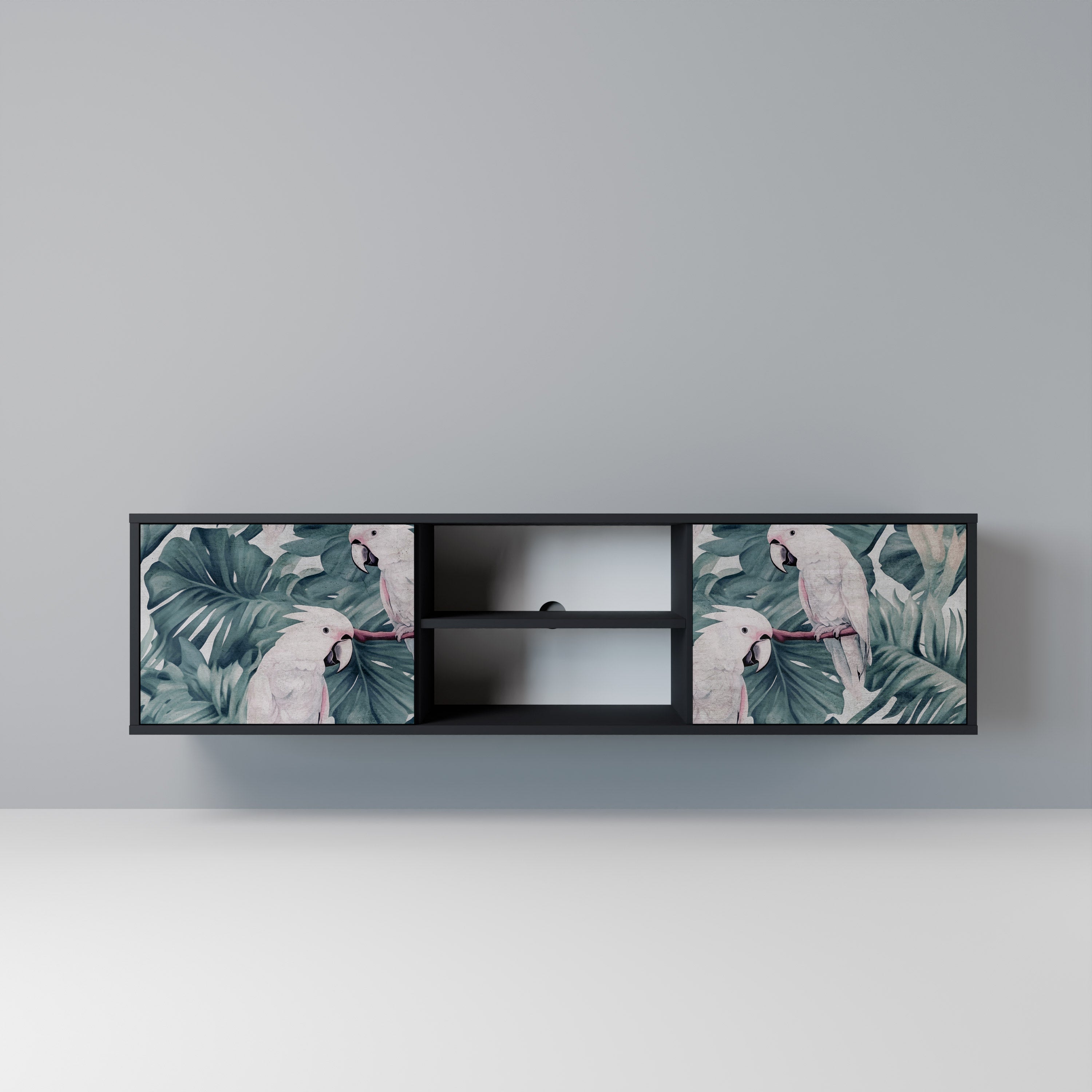 POPINJAY LOOK 2-Door TV Stand in Black Finish