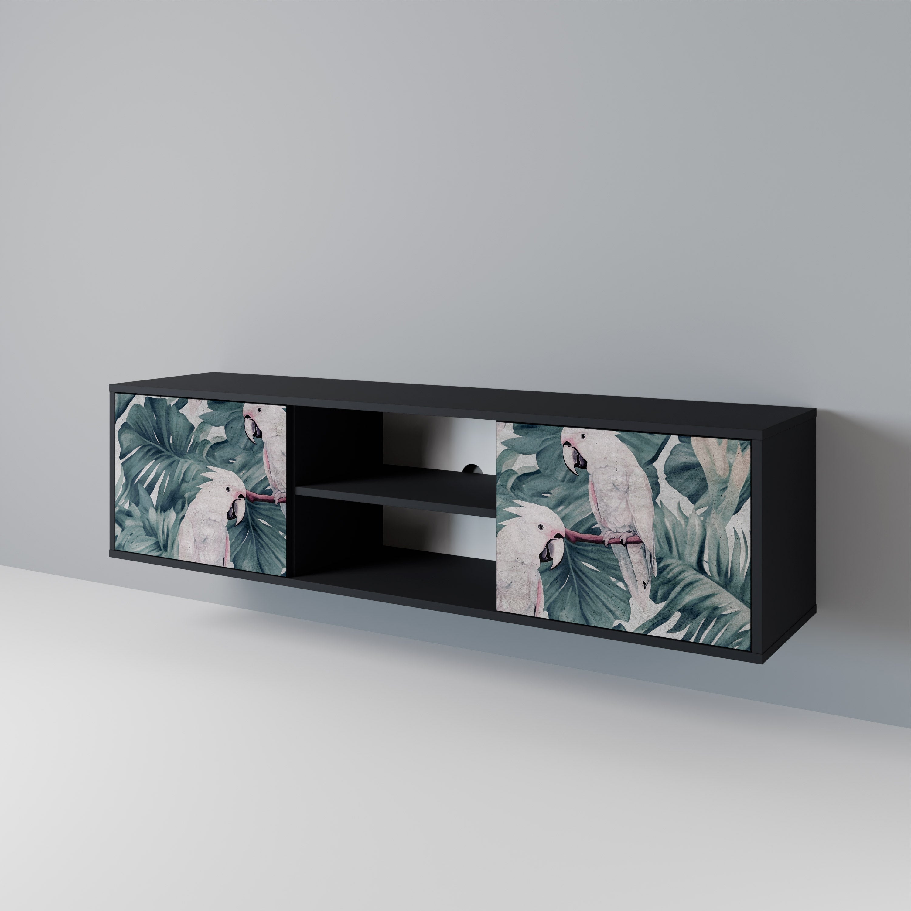 POPINJAY LOOK 2-Door TV Stand in Black Finish