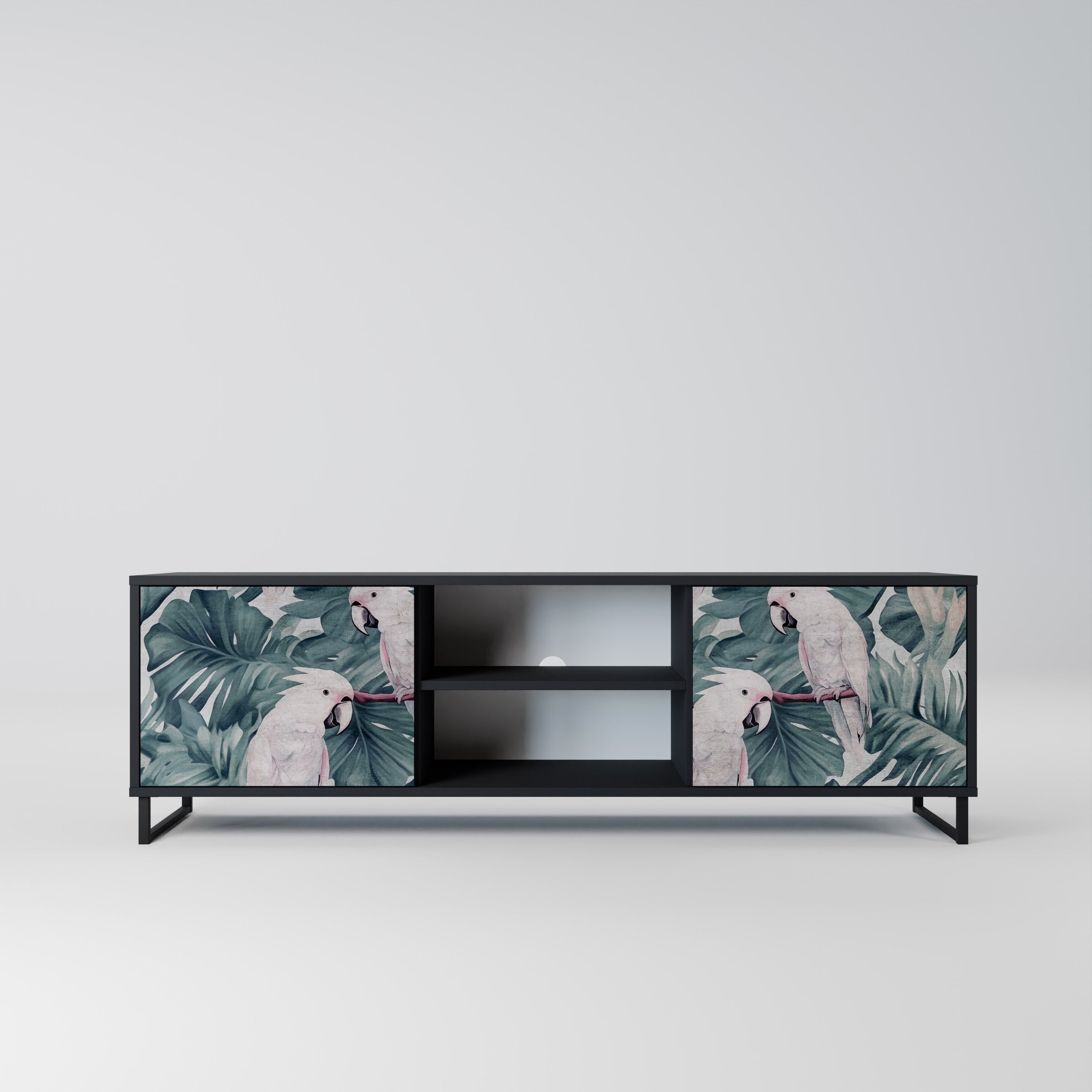 POPINJAY LOOK 2-Door TV Stand in Black Finish