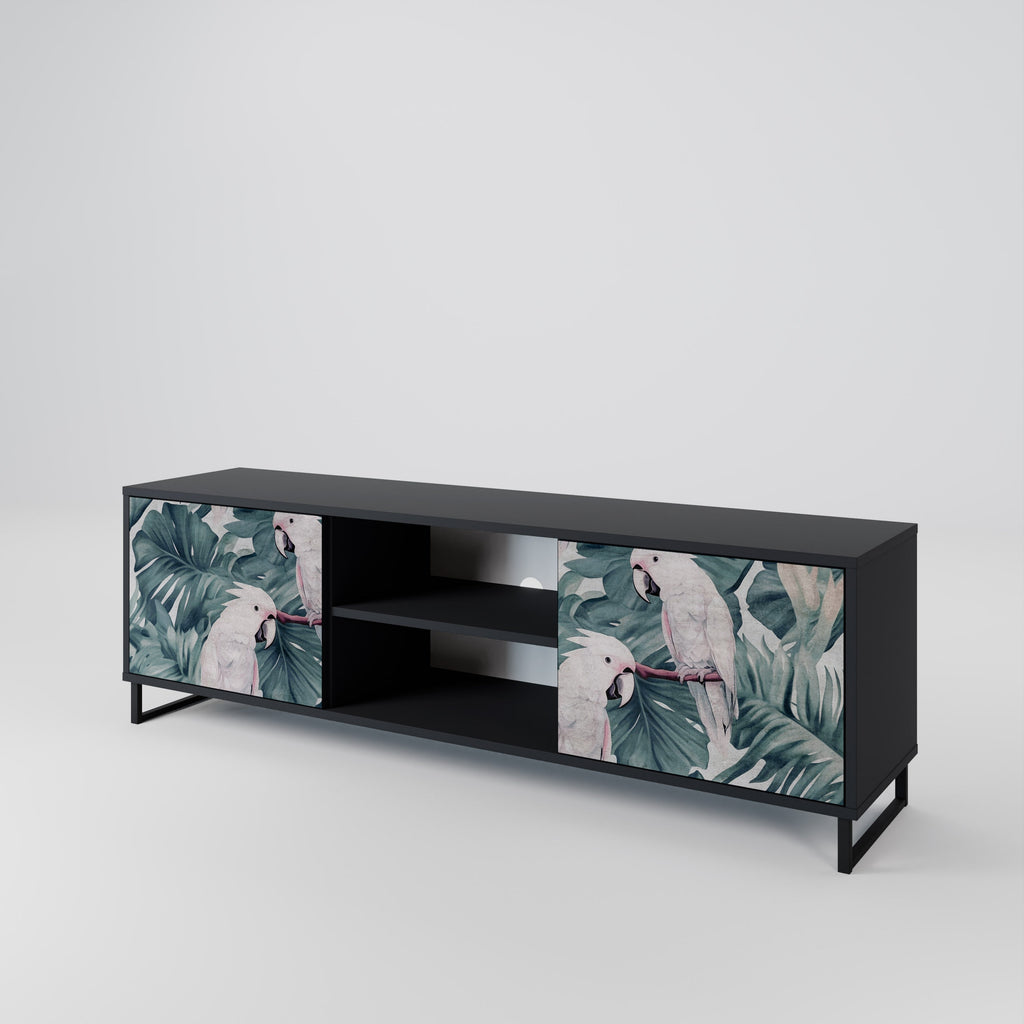POPINJAY LOOK 2-Door TV Stand in Black Finish