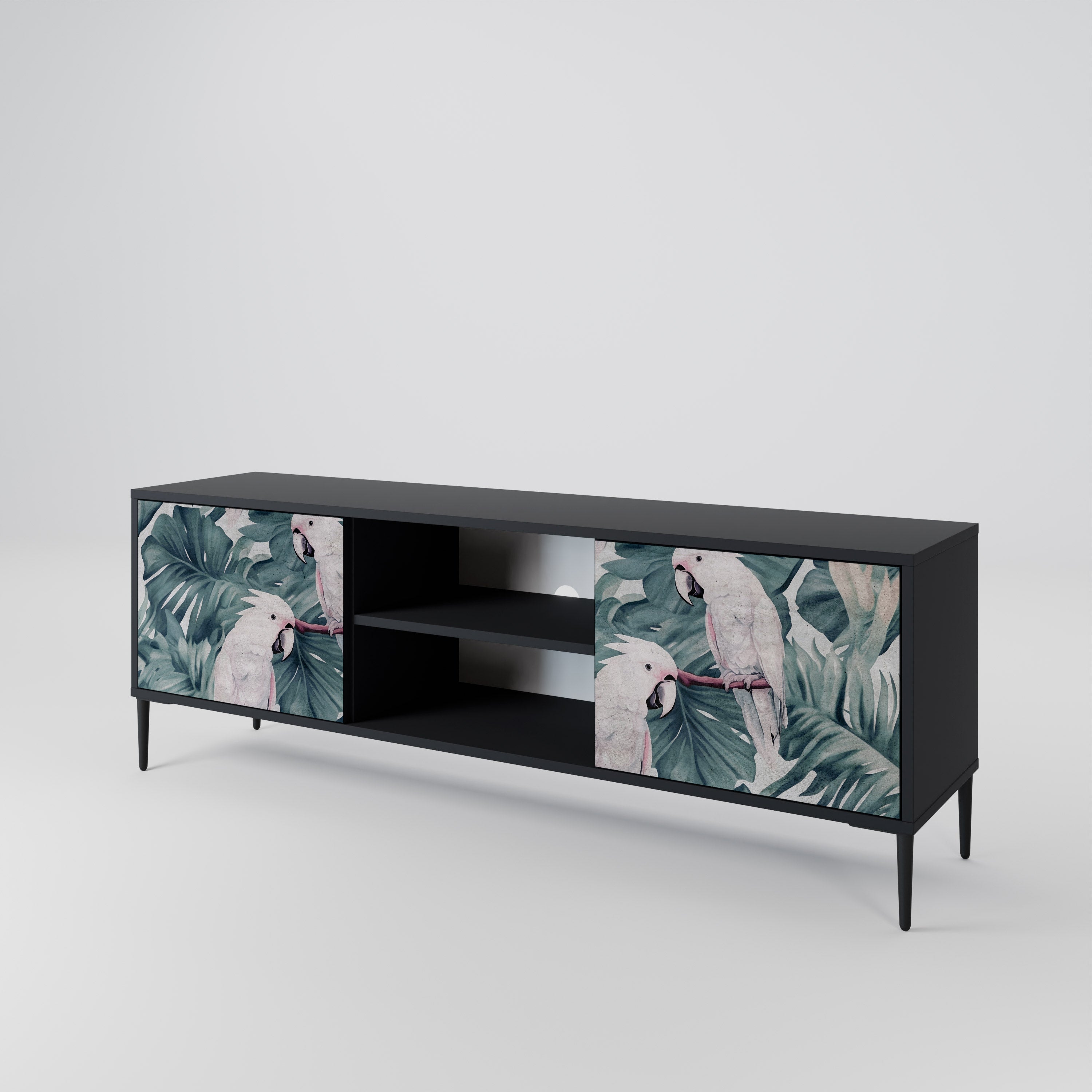 POPINJAY LOOK 2-Door TV Stand in Black Finish