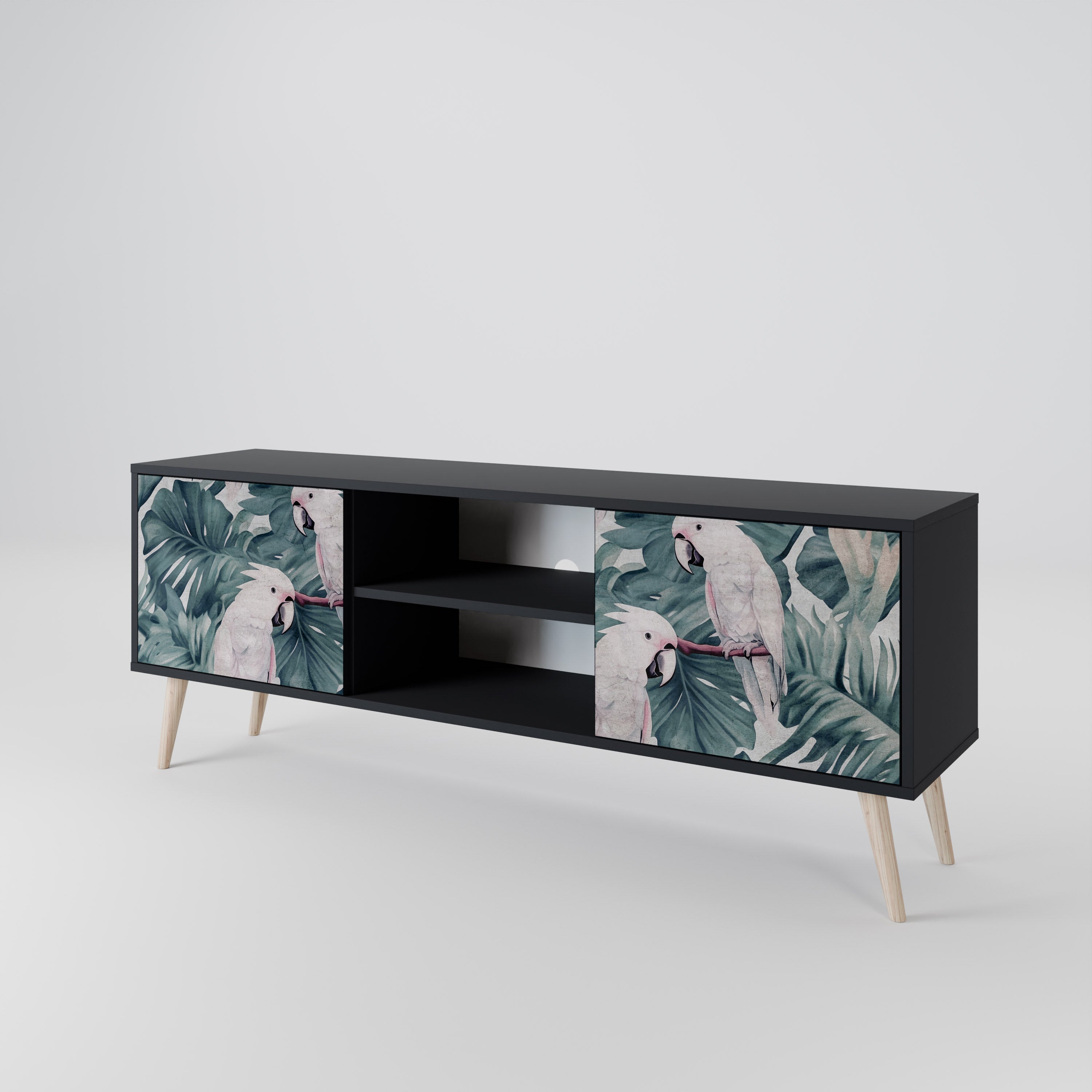 POPINJAY LOOK 2-Door TV Stand in Black Finish