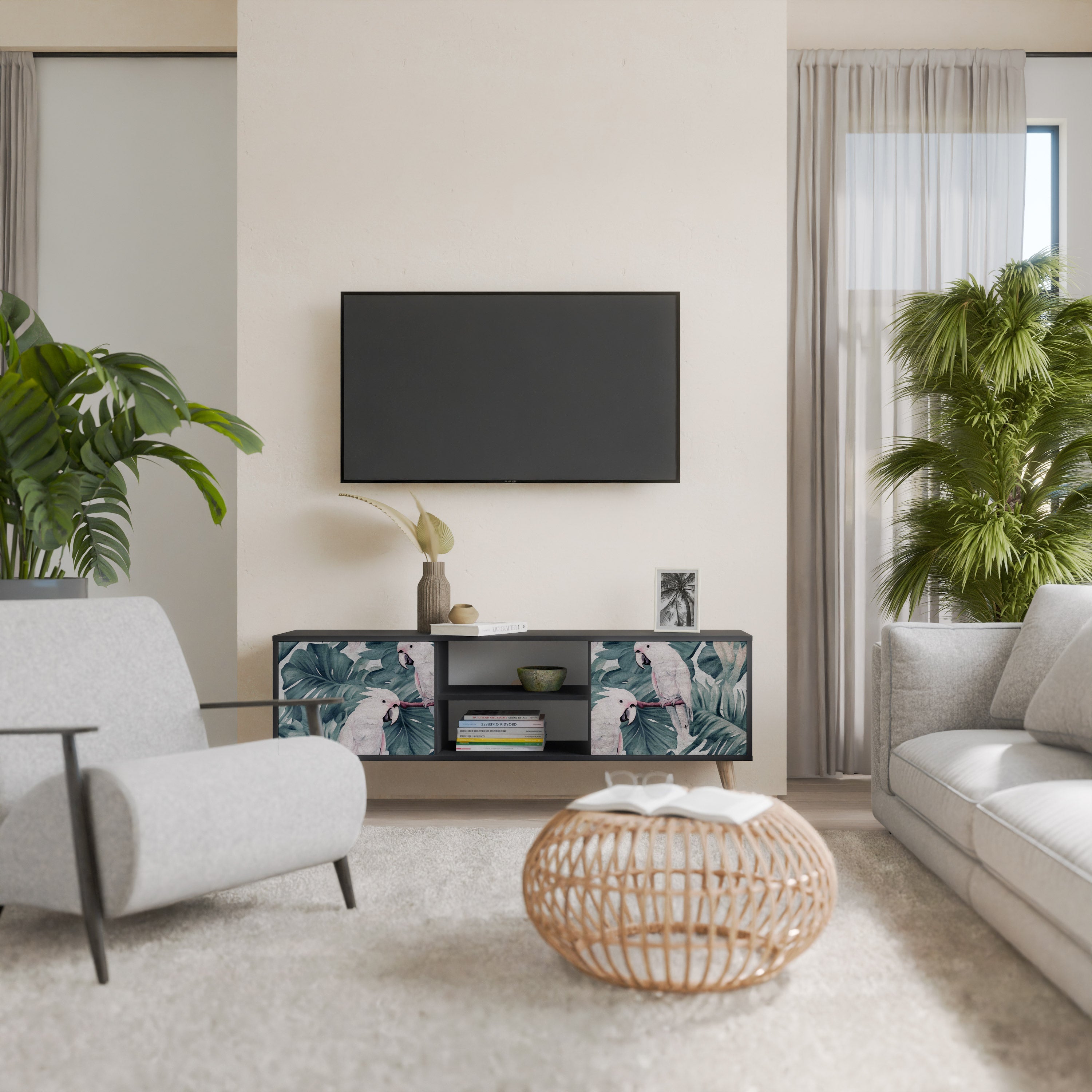 POPINJAY LOOK 2-Door TV Stand in Black Finish