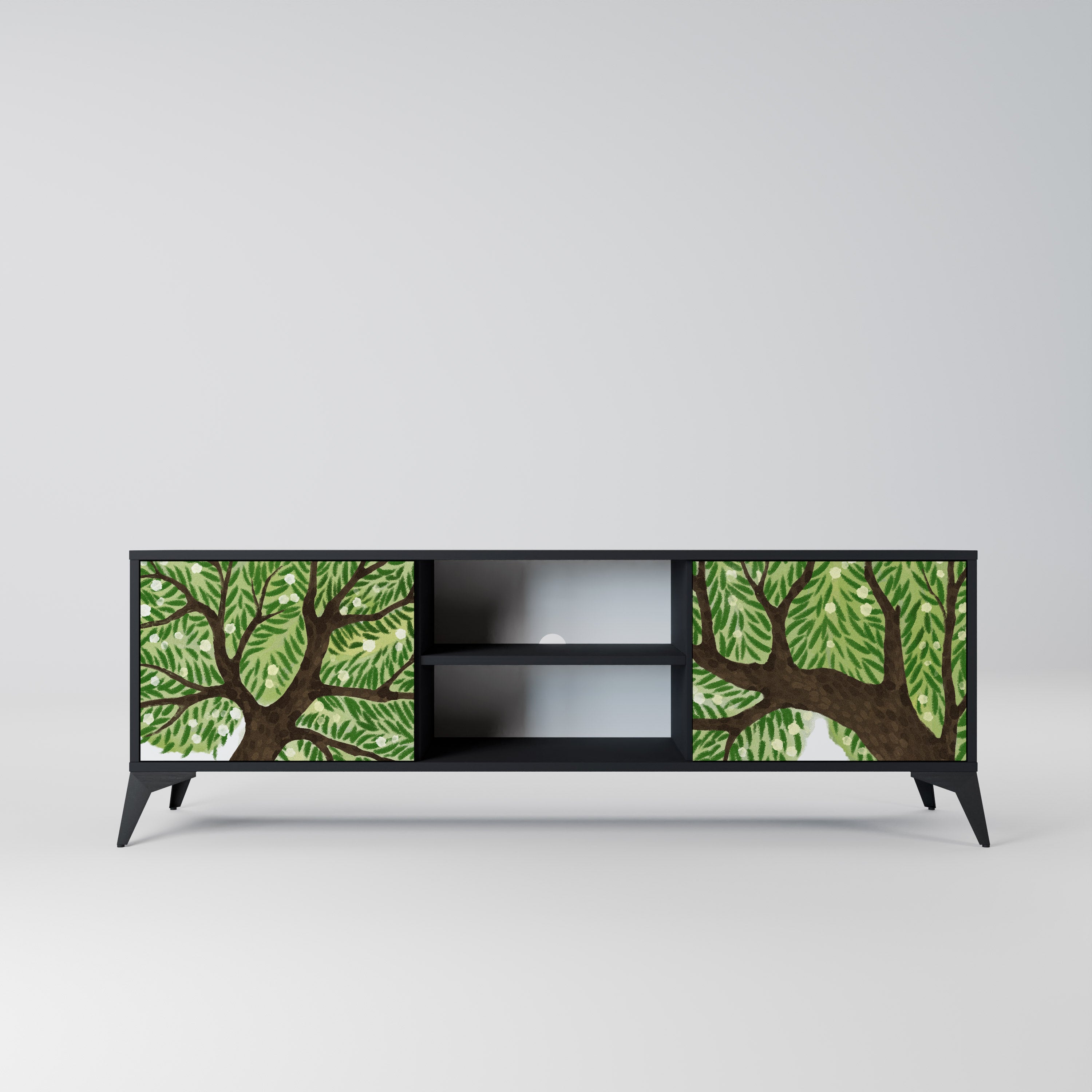 WILDERNESS DASH 2-Door TV Stand in Black Finish