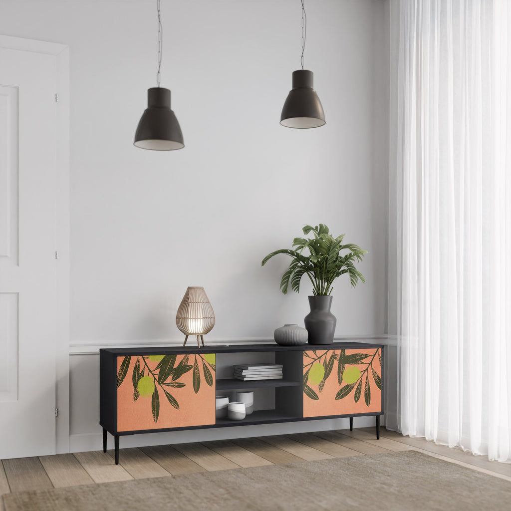 JUICY OLIVES 2-Door TV Stand in Black Finish