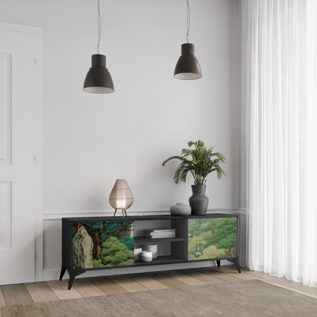 VERDURE ABYSS 2-Door TV Stand in Black Finish