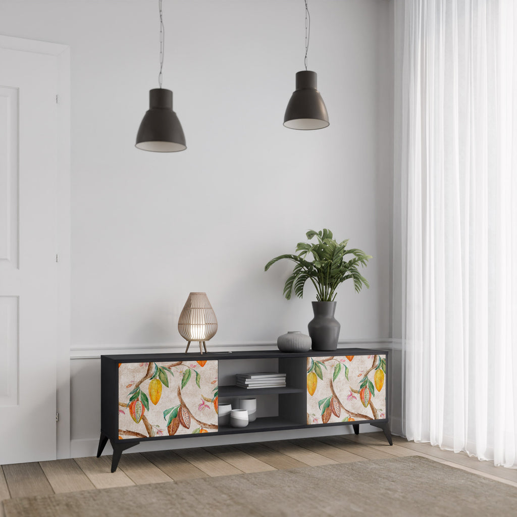 COCOA FRUITS 2-Door TV Stand in Black Finish