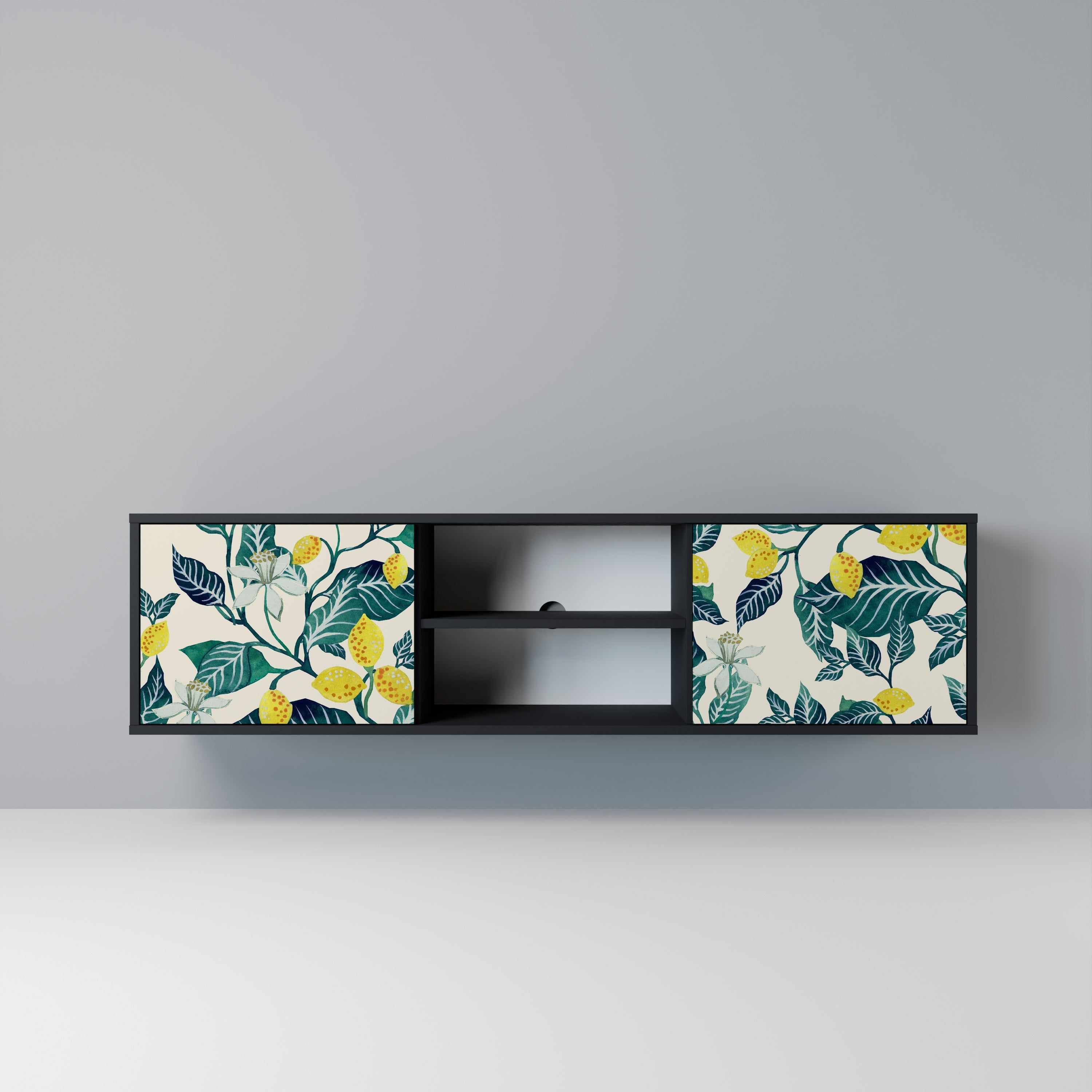 LEMON TREE 2-Door TV Stand in Black Finish