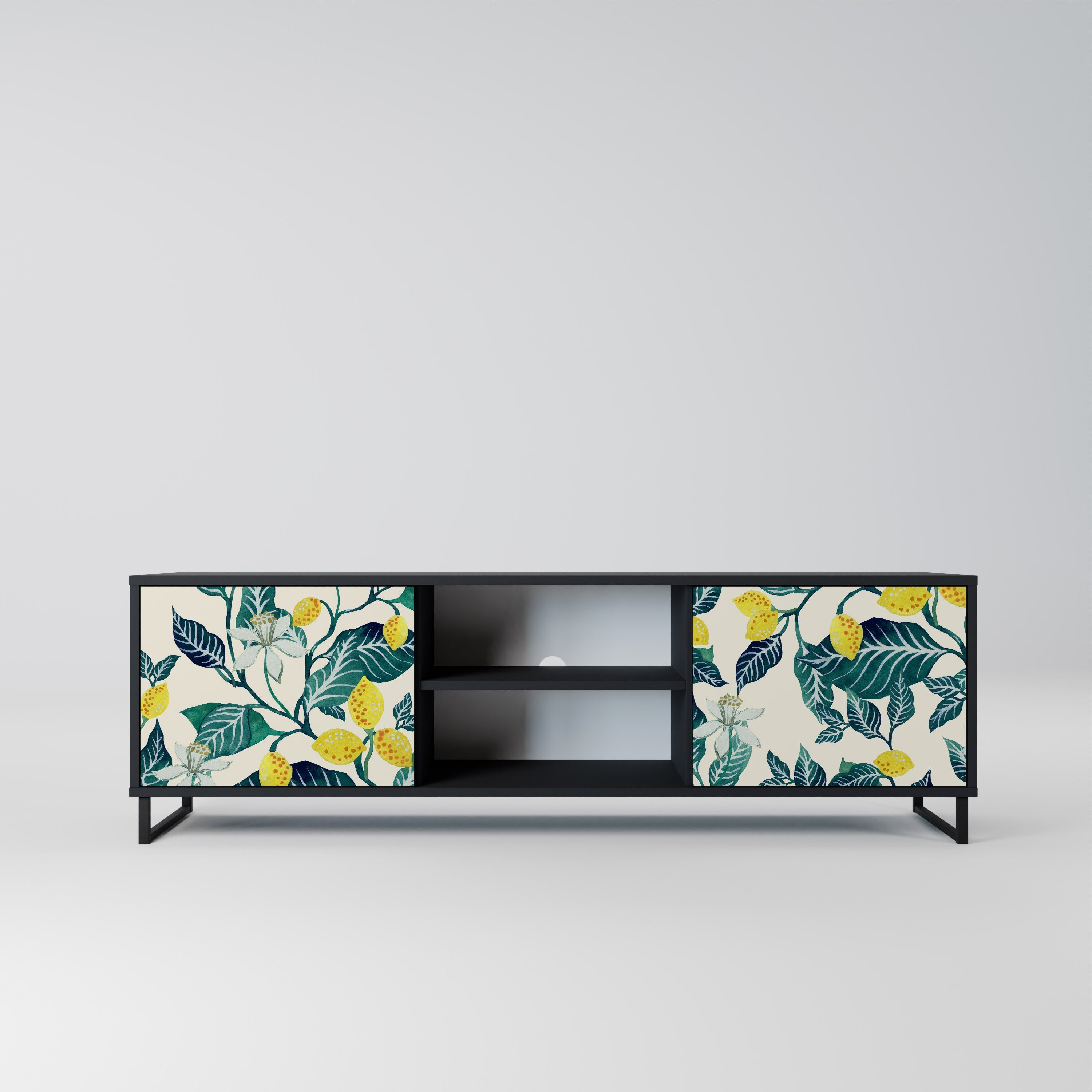 LEMON TREE 2-Door TV Stand in Black Finish