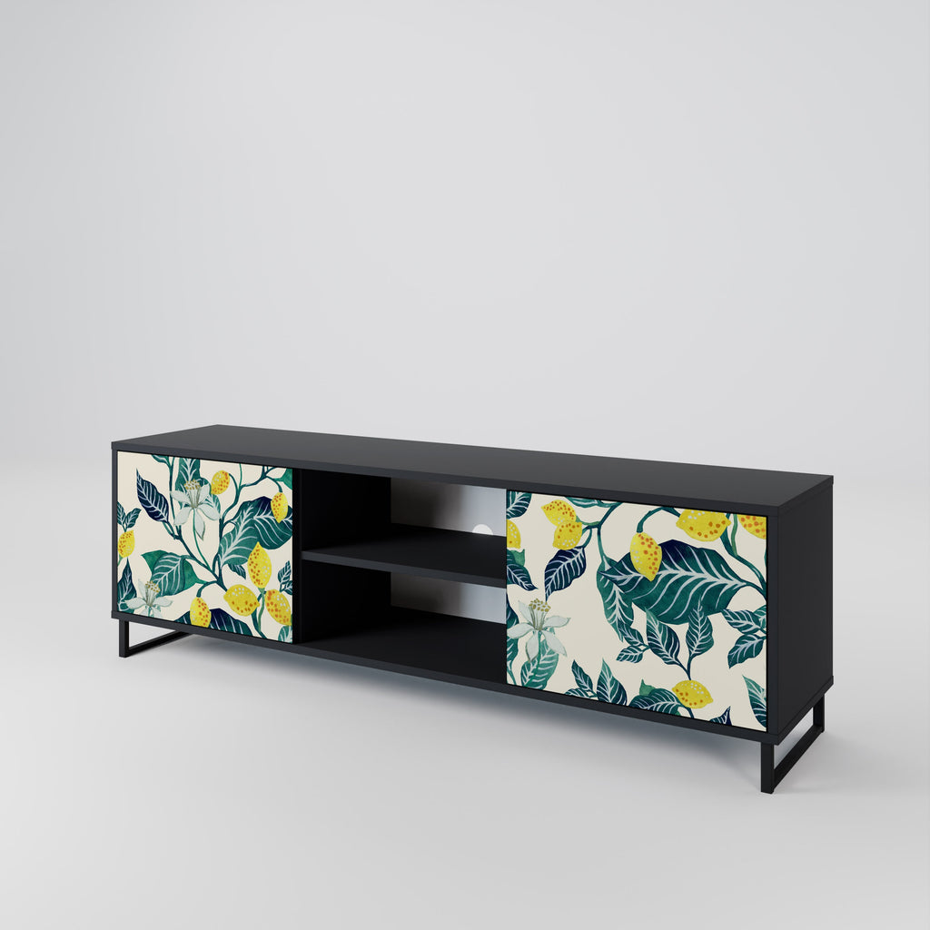 LEMON TREE 2-Door TV Stand in Black Finish