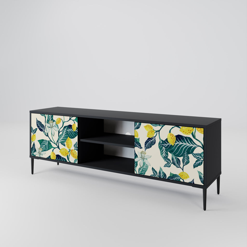 LEMON TREE 2-Door TV Stand in Black Finish