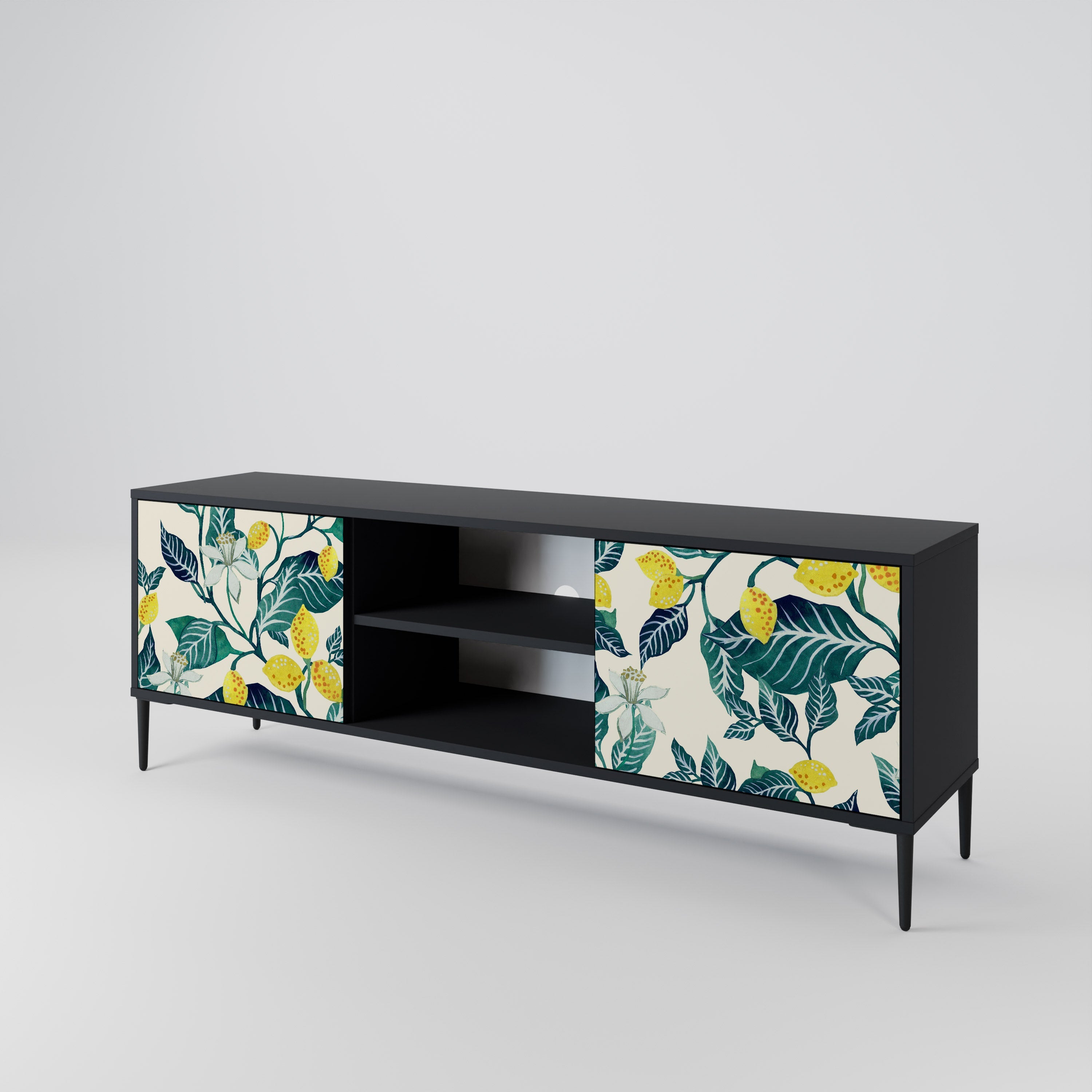 LEMON TREE 2-Door TV Stand in Black Finish