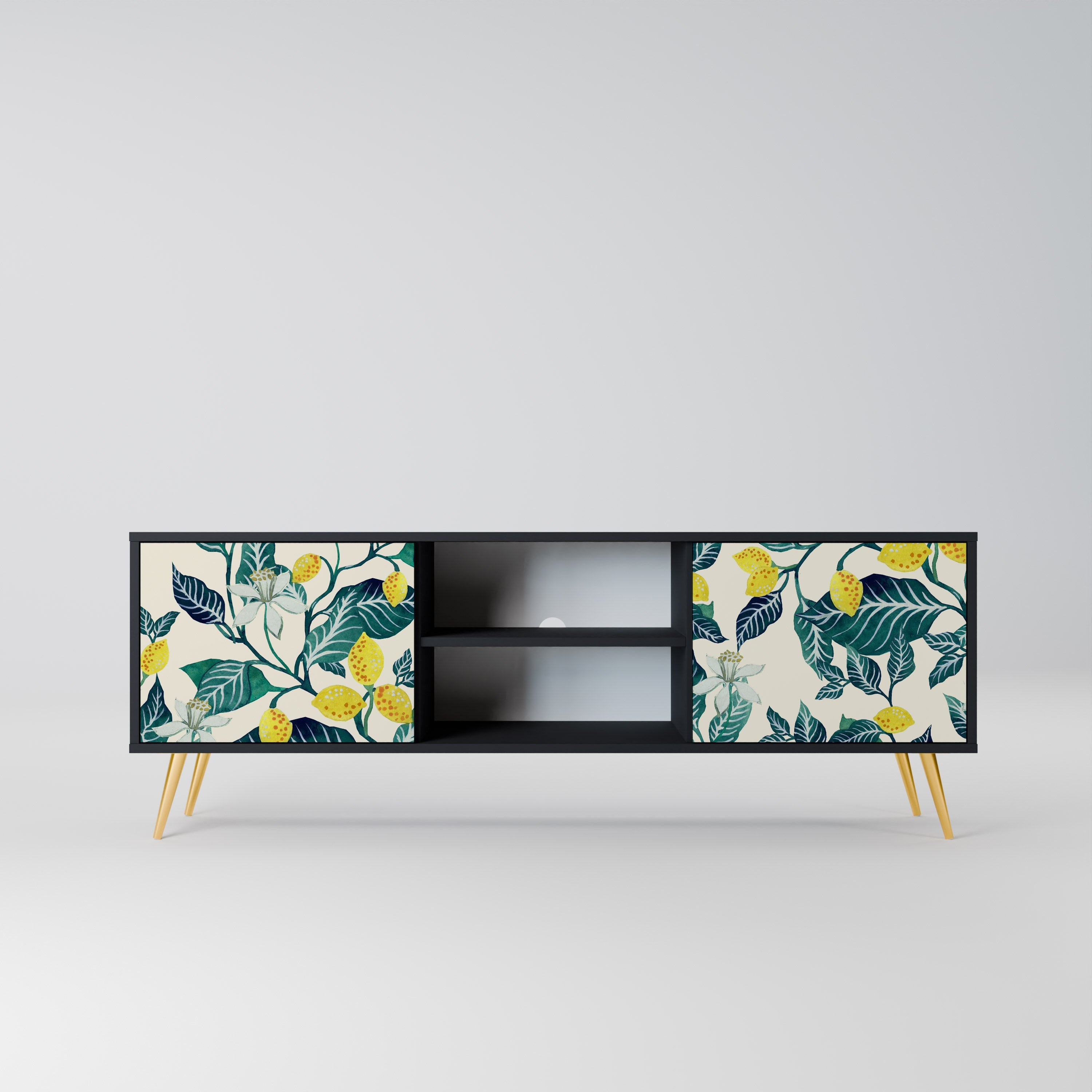 LEMON TREE 2-Door TV Stand in Black Finish