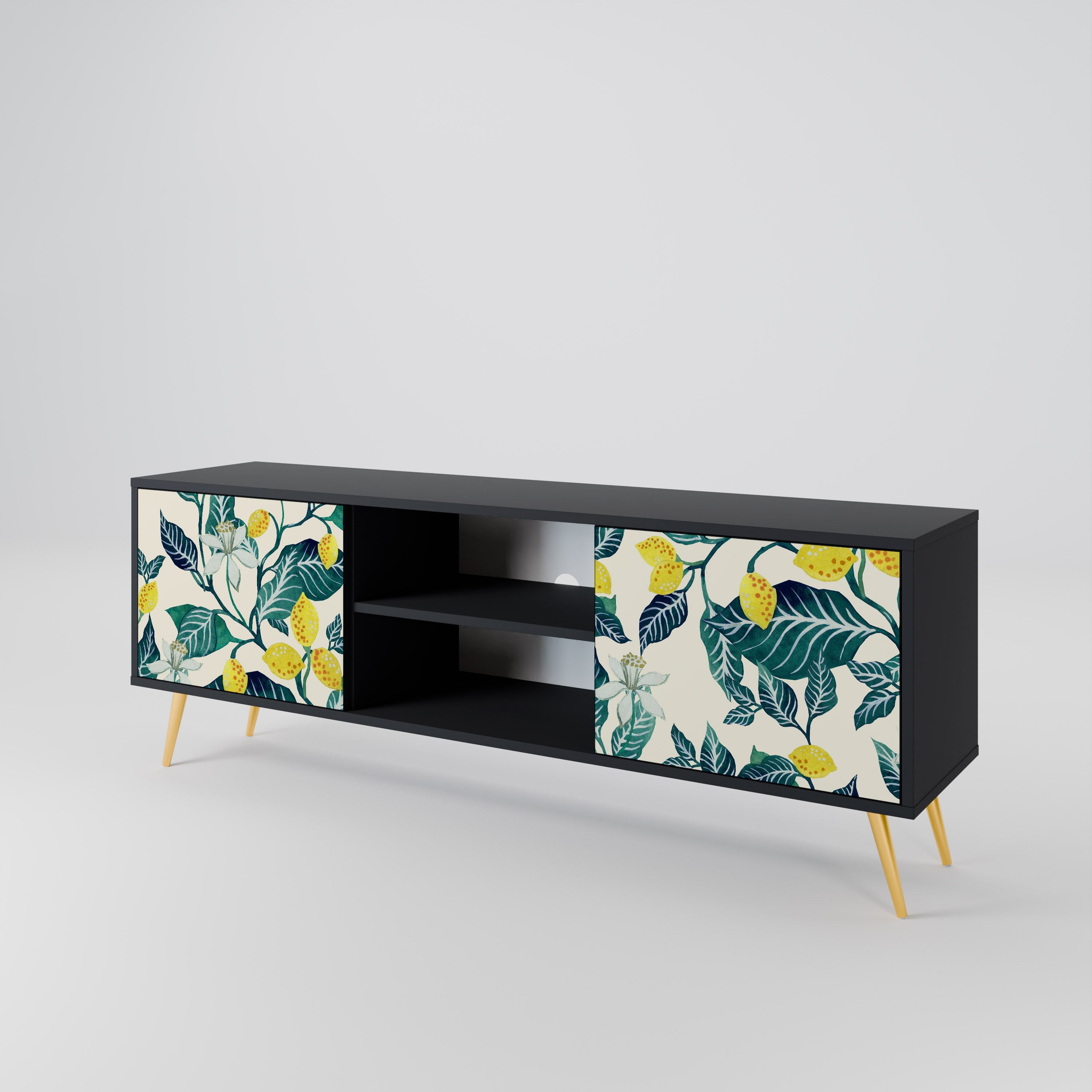 LEMON TREE 2-Door TV Stand in Black Finish