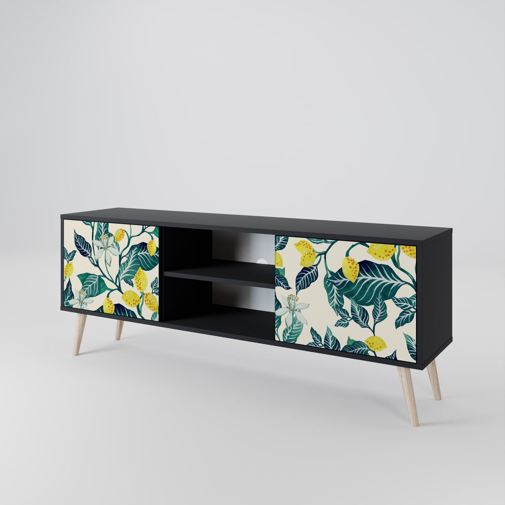 LEMON TREE 2-Door TV Stand in Black Finish