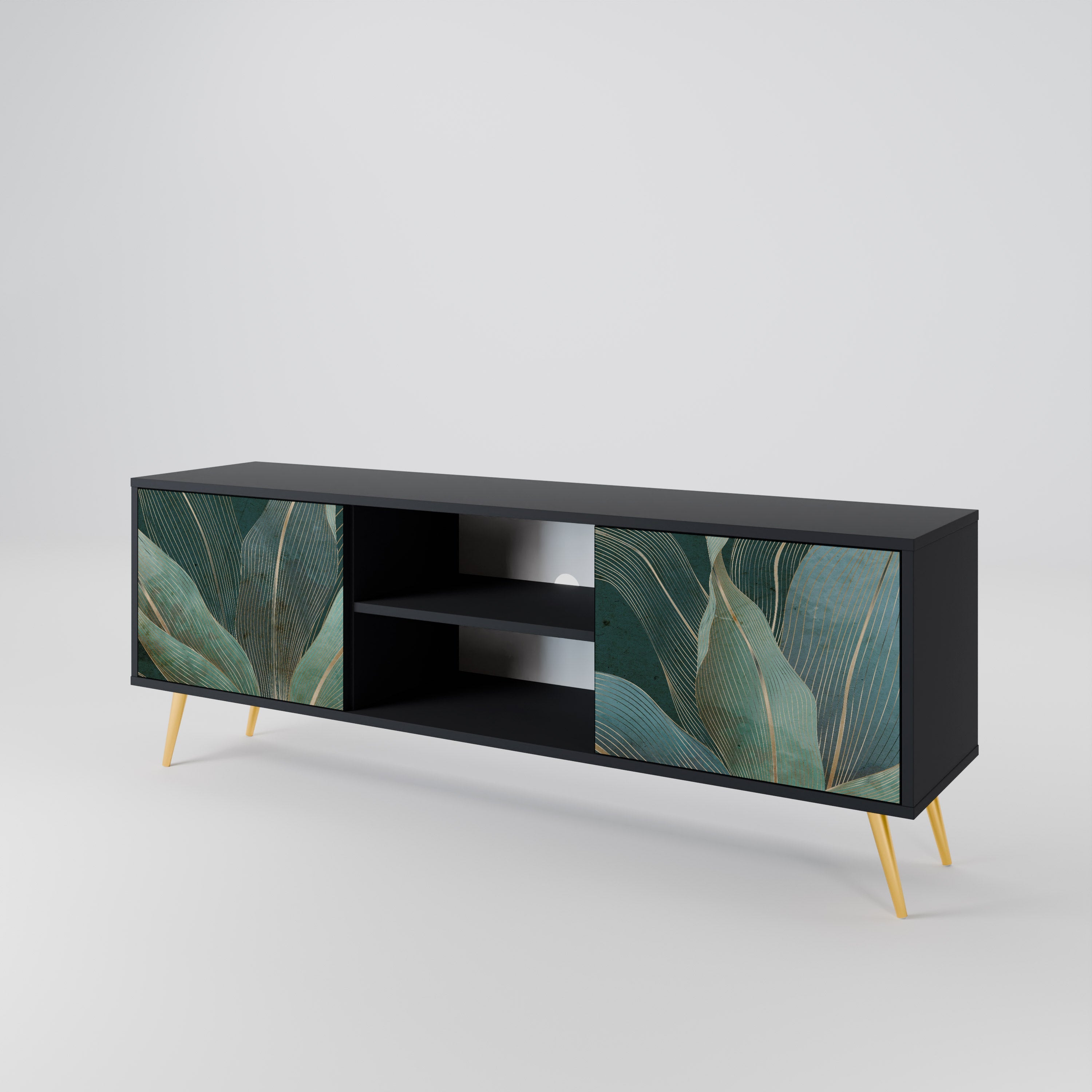ROYAL GREEN 2-Door TV Stand in Black Finish