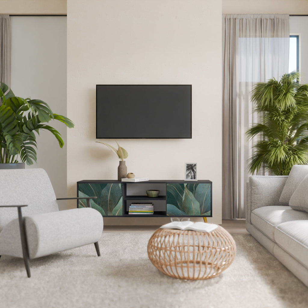 ROYAL GREEN 2-Door TV Stand in Black Finish