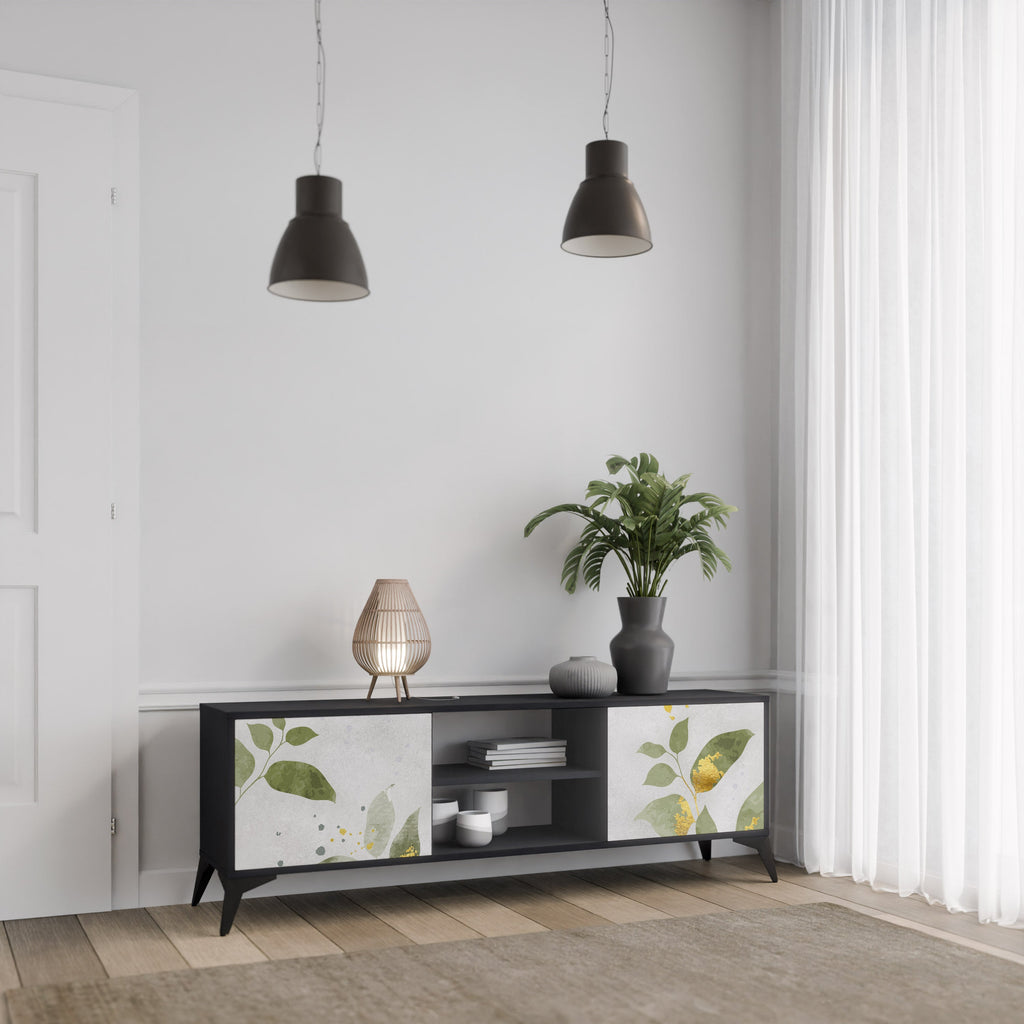 ELEGANT BOTANICS 2-Door TV Stand in Black Finish