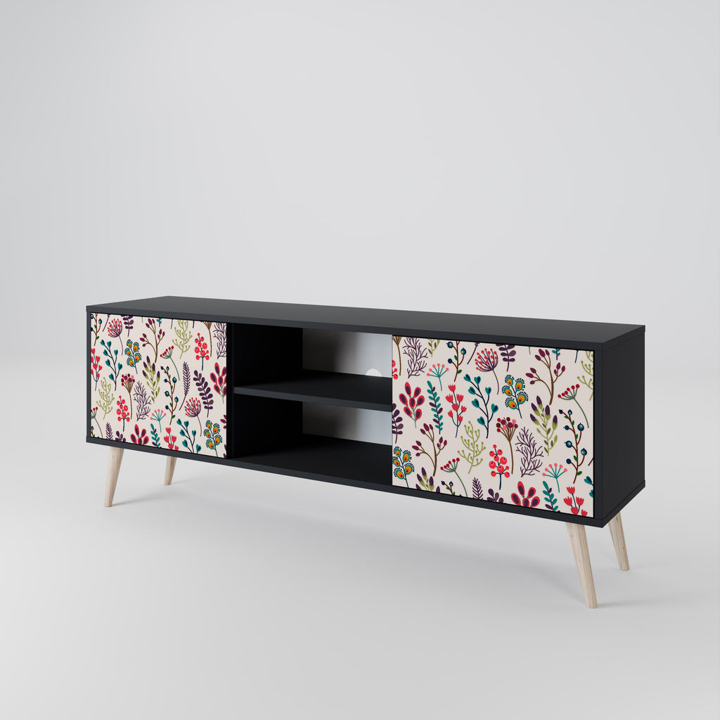 Meuble TV 2 portes AUTUMN SUNDRIES, finition noire