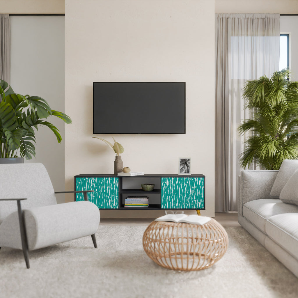 TURQUOISE RAIN 2-Door TV Stand in Black Finish