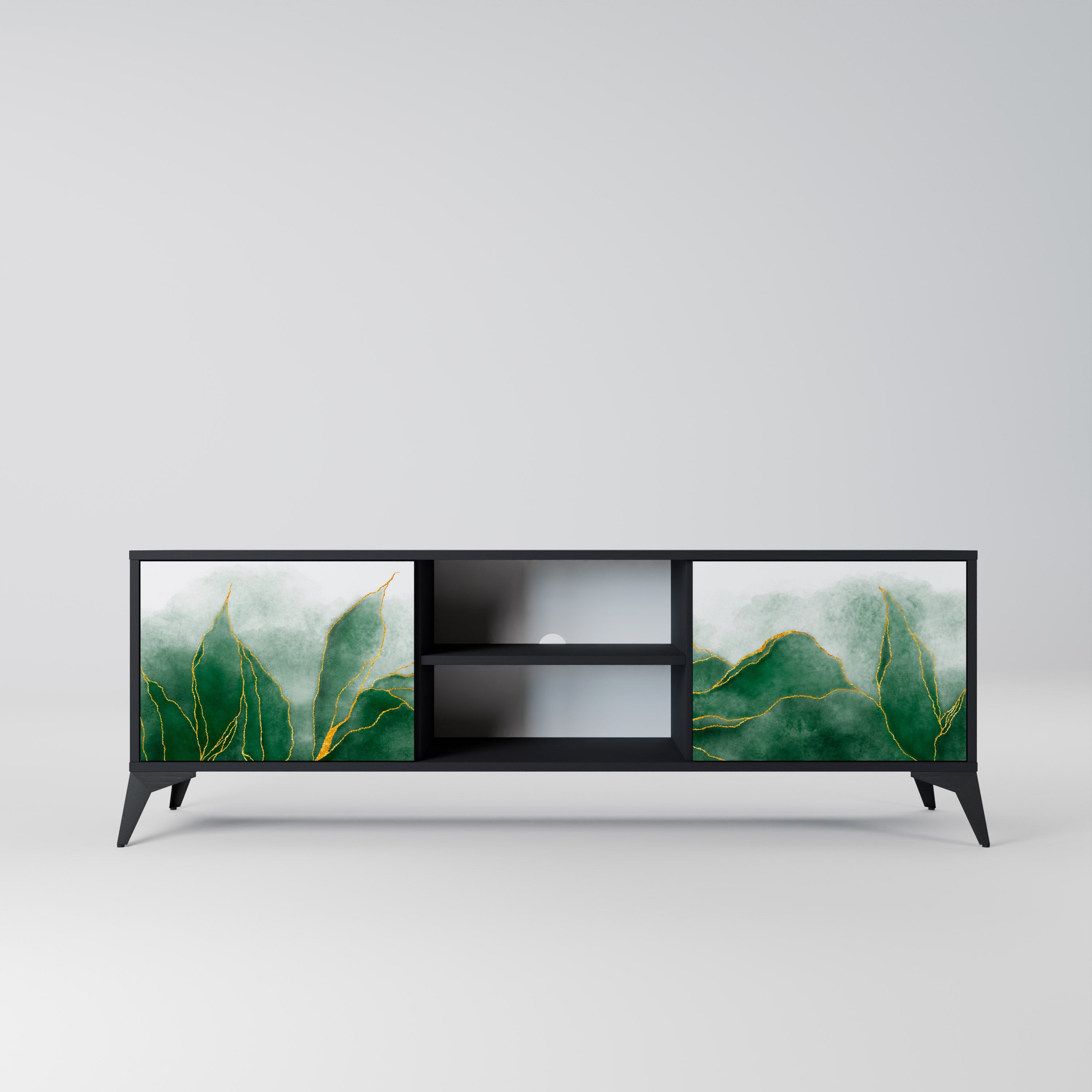 EXPENSIVE NATURE 2-Door TV Stand in Black Finish