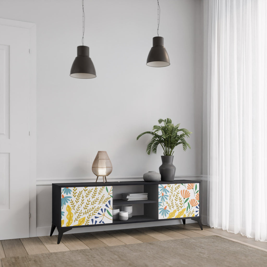 HELLO SPRING 2-Door TV Stand in Black Finish
