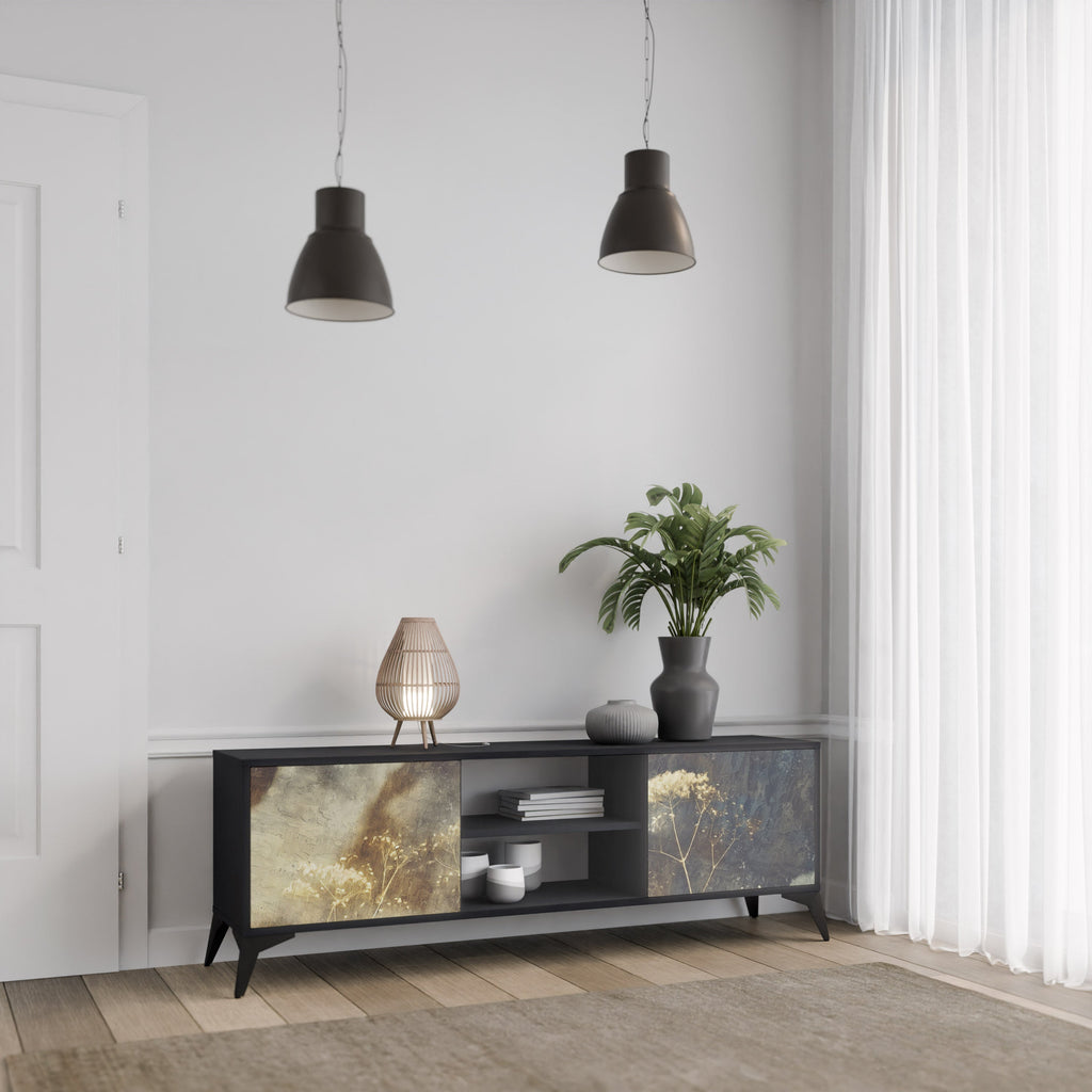 GENTLE POWER 2-Door TV Stand in Black Finish