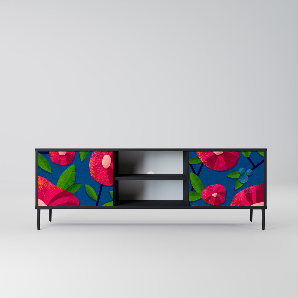 SPRING THOUGHTS 2-Door TV Stand in Black Finish