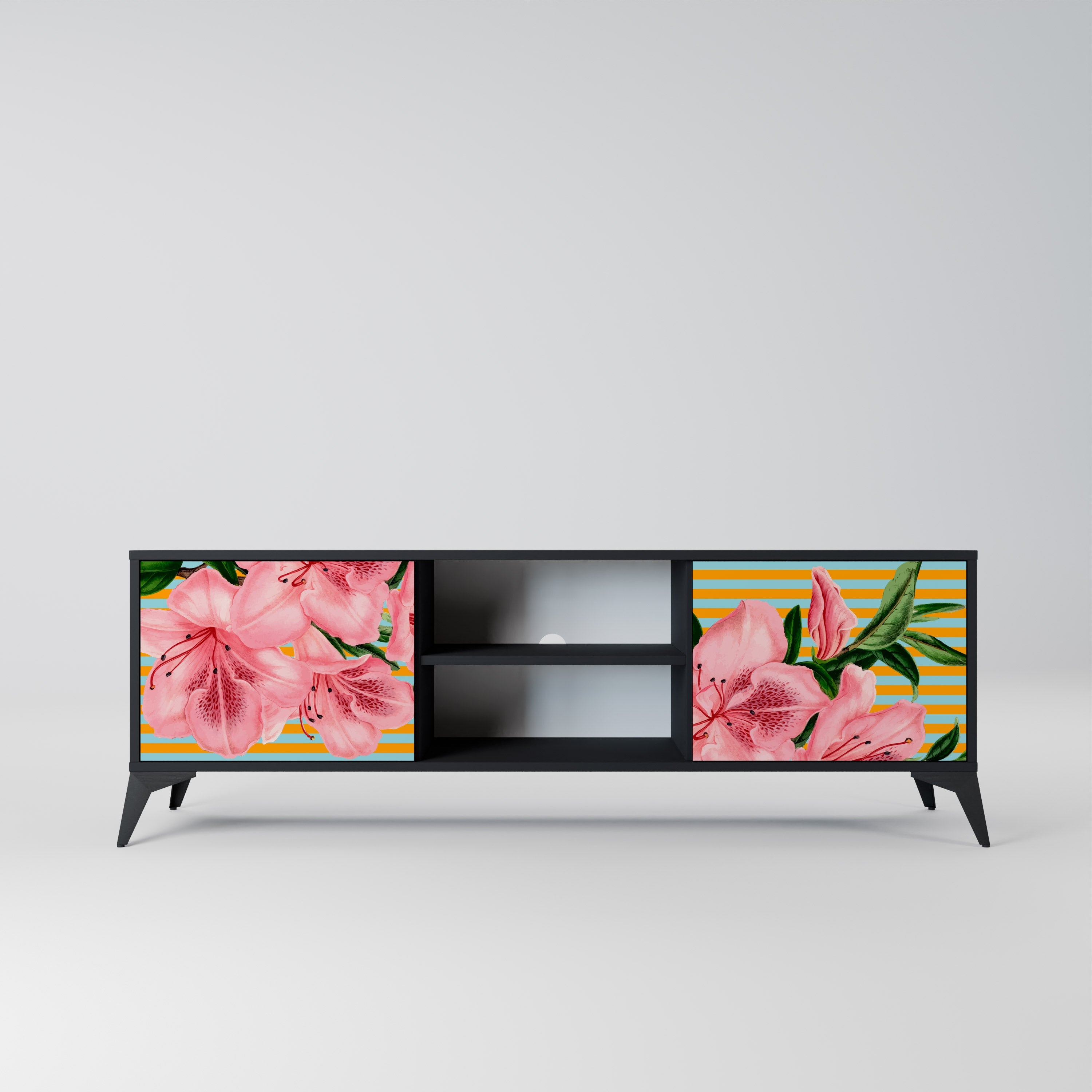 FRAGILE BEAUTY 2-Door TV Stand in Black Finish