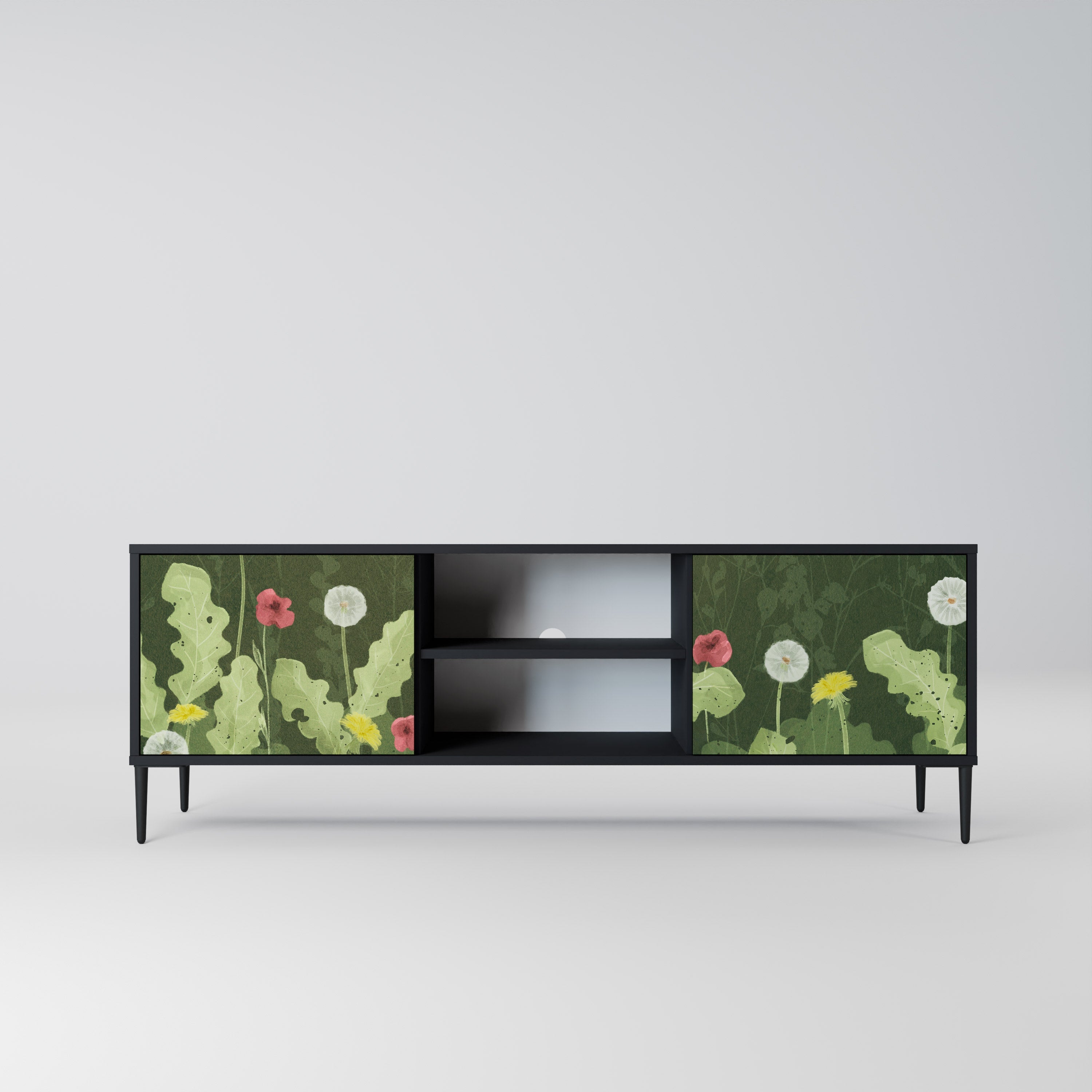 DANDELION AMUSE 2-Door TV Stand in Black Finish
