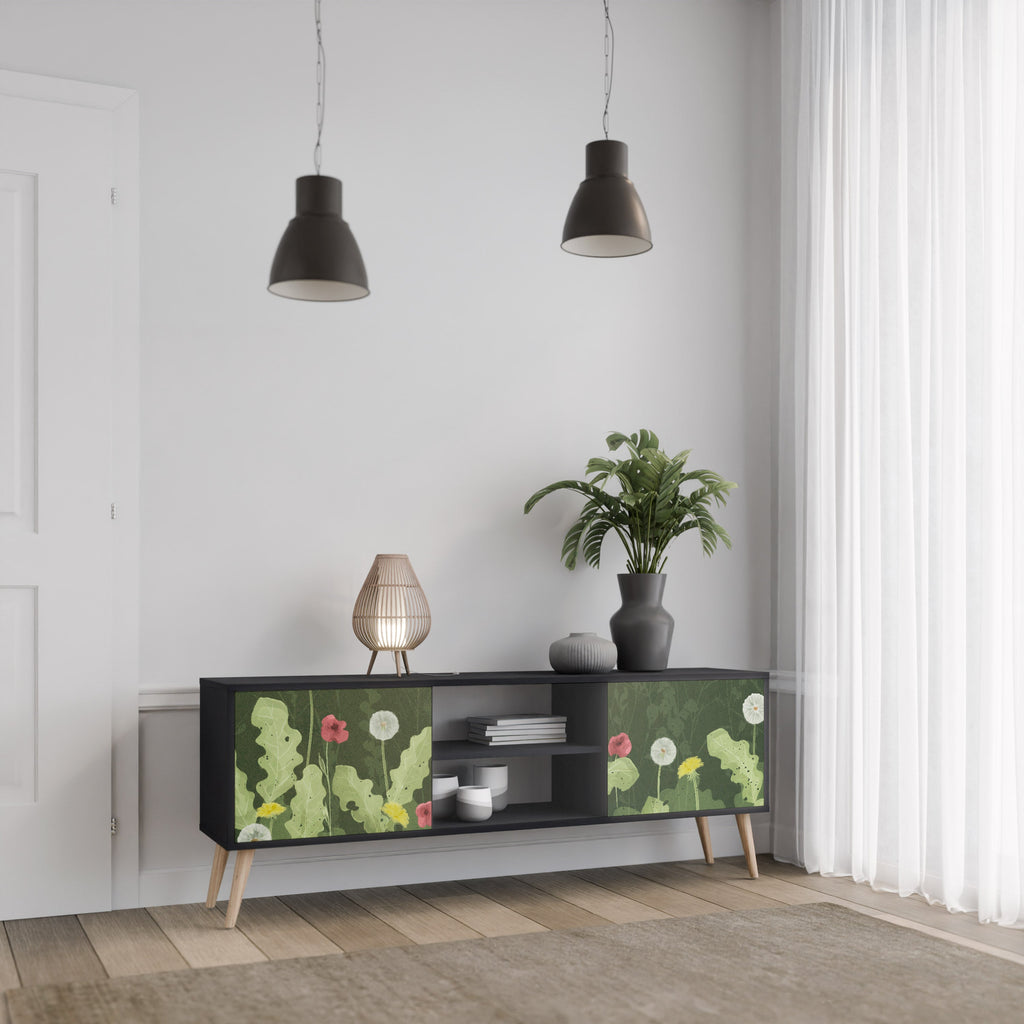 DANDELION AMUSE 2-Door TV Stand in Black Finish