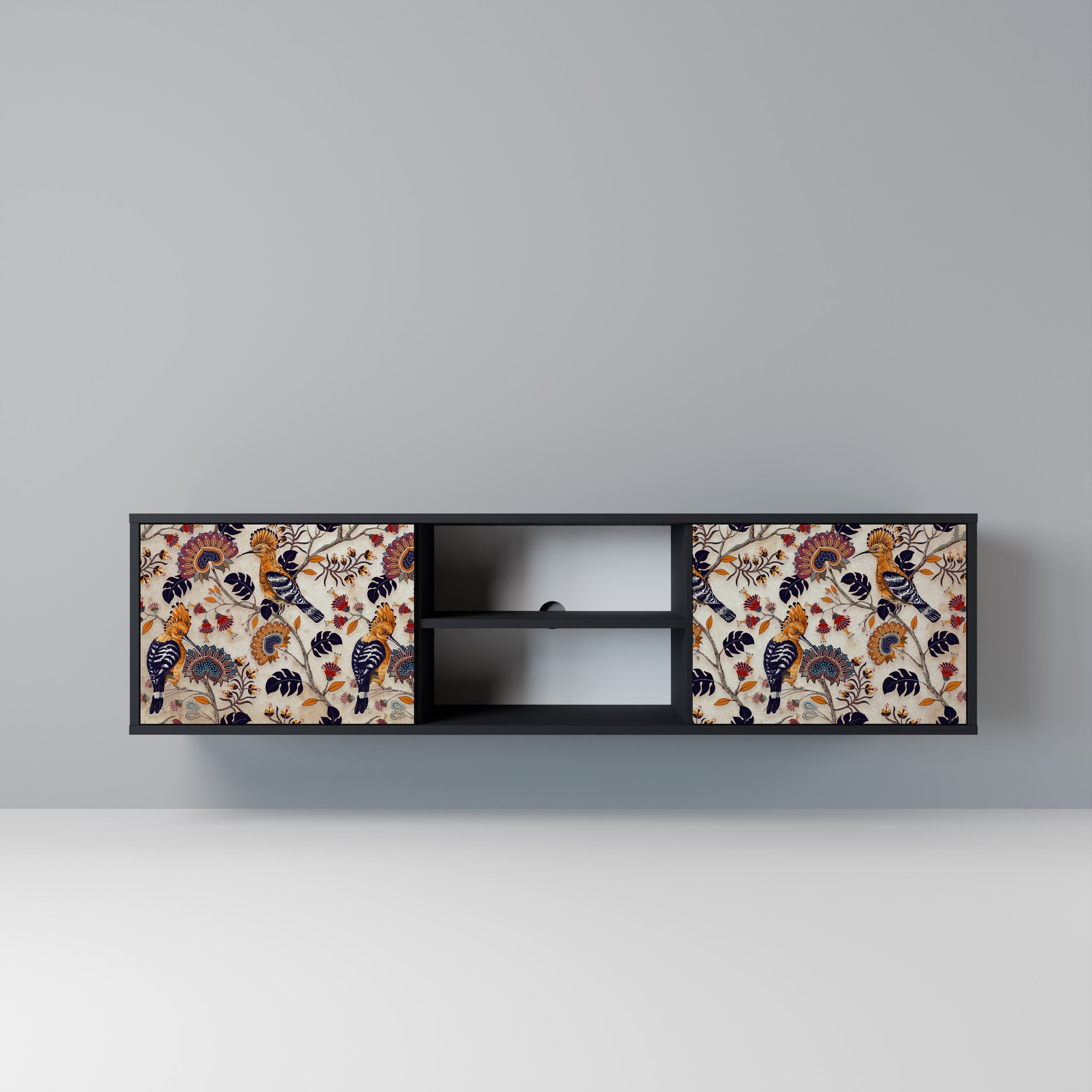 EMINENT HOOPOE 2-Door TV Stand in Black Finish