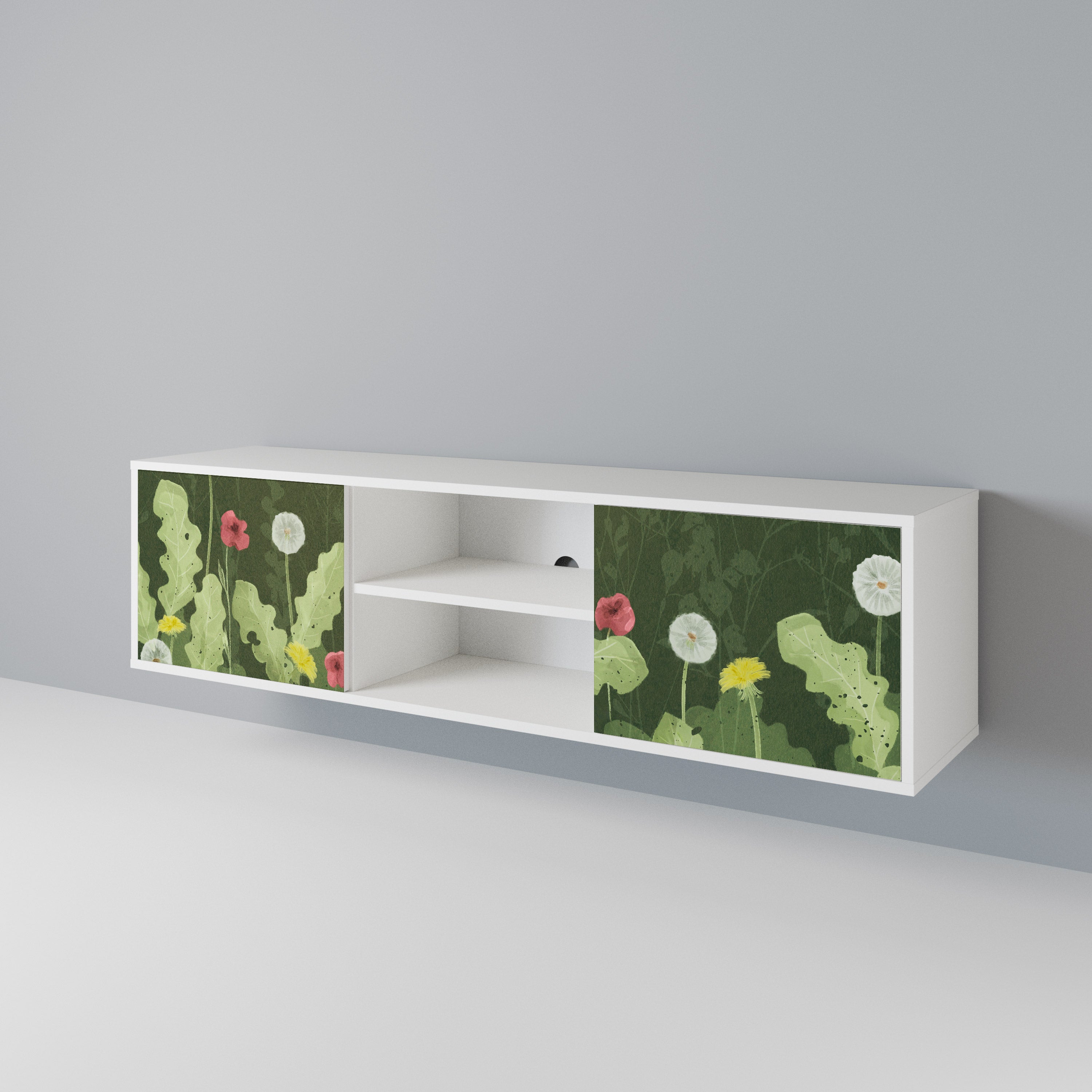 DANDELION AMUSE 2-Door TV Cabinet