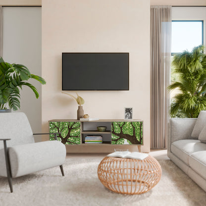 WILDERNESS DASH 2-Door TV Cabinet