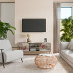 VEILED SUMMIT 2-Door TV Cabinet