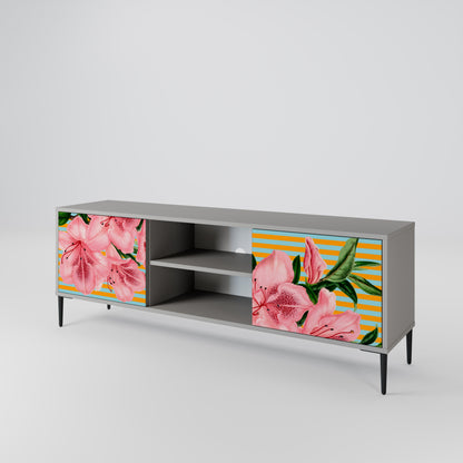 FRAGILE BEAUTY 2-Door TV Cabinet