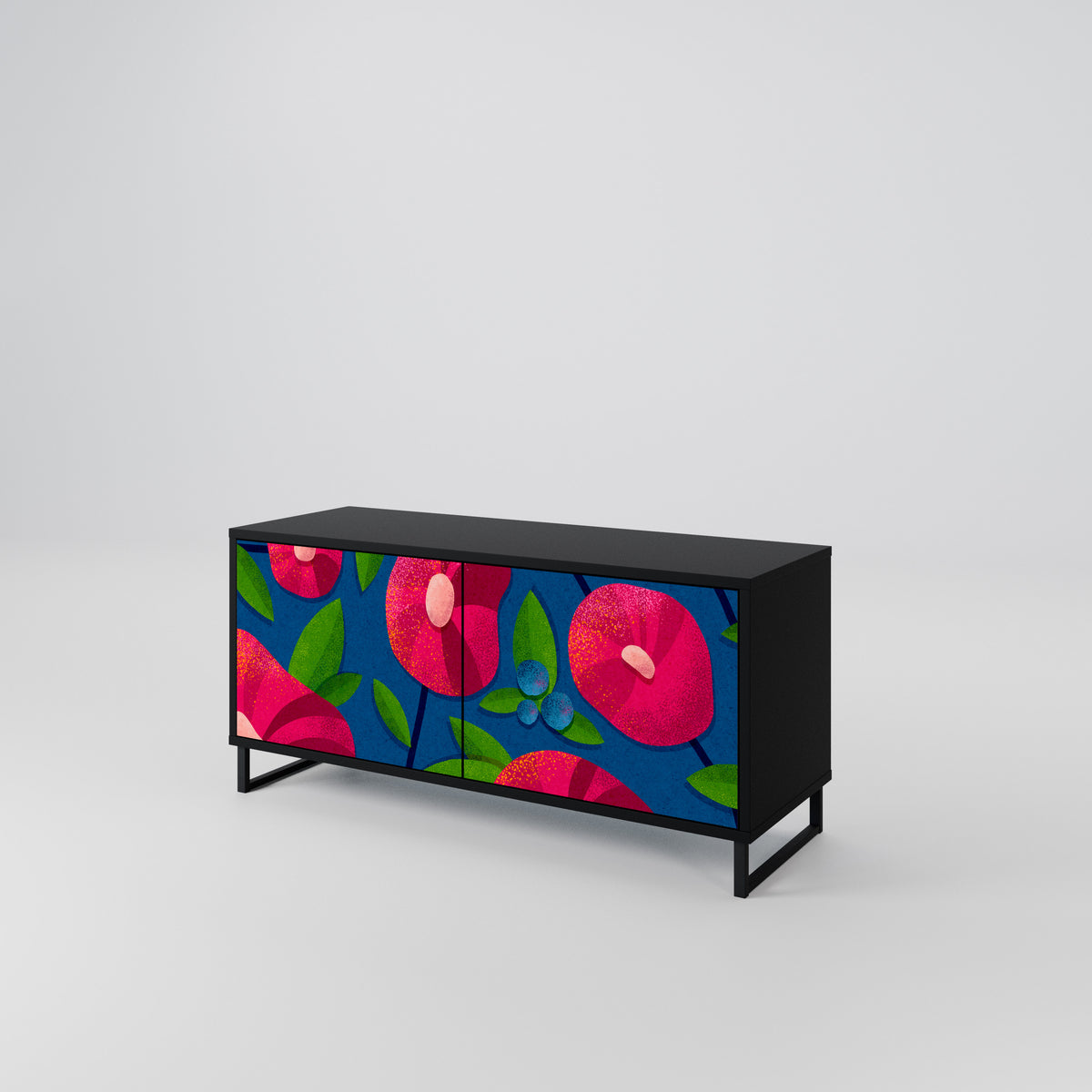 SPRING THOUGHTS Compact 2-Door TV Cabinet
