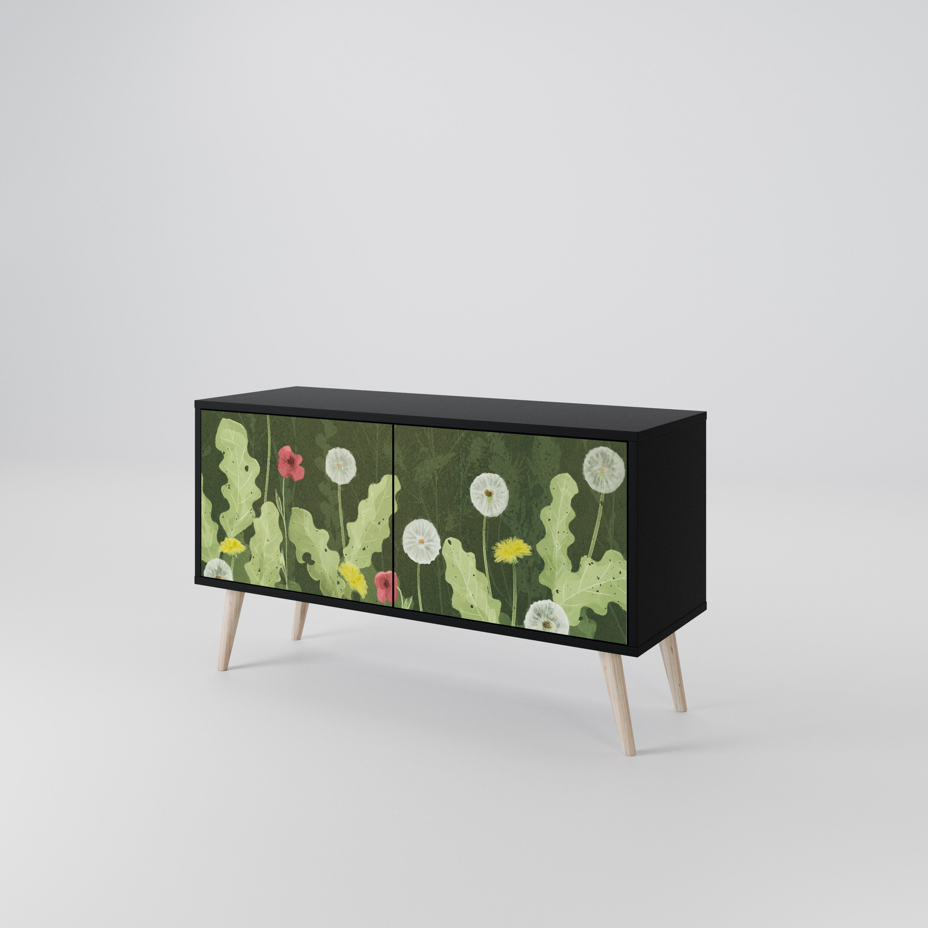 DANDELION AMUSE Compact 2-Door TV Cabinet